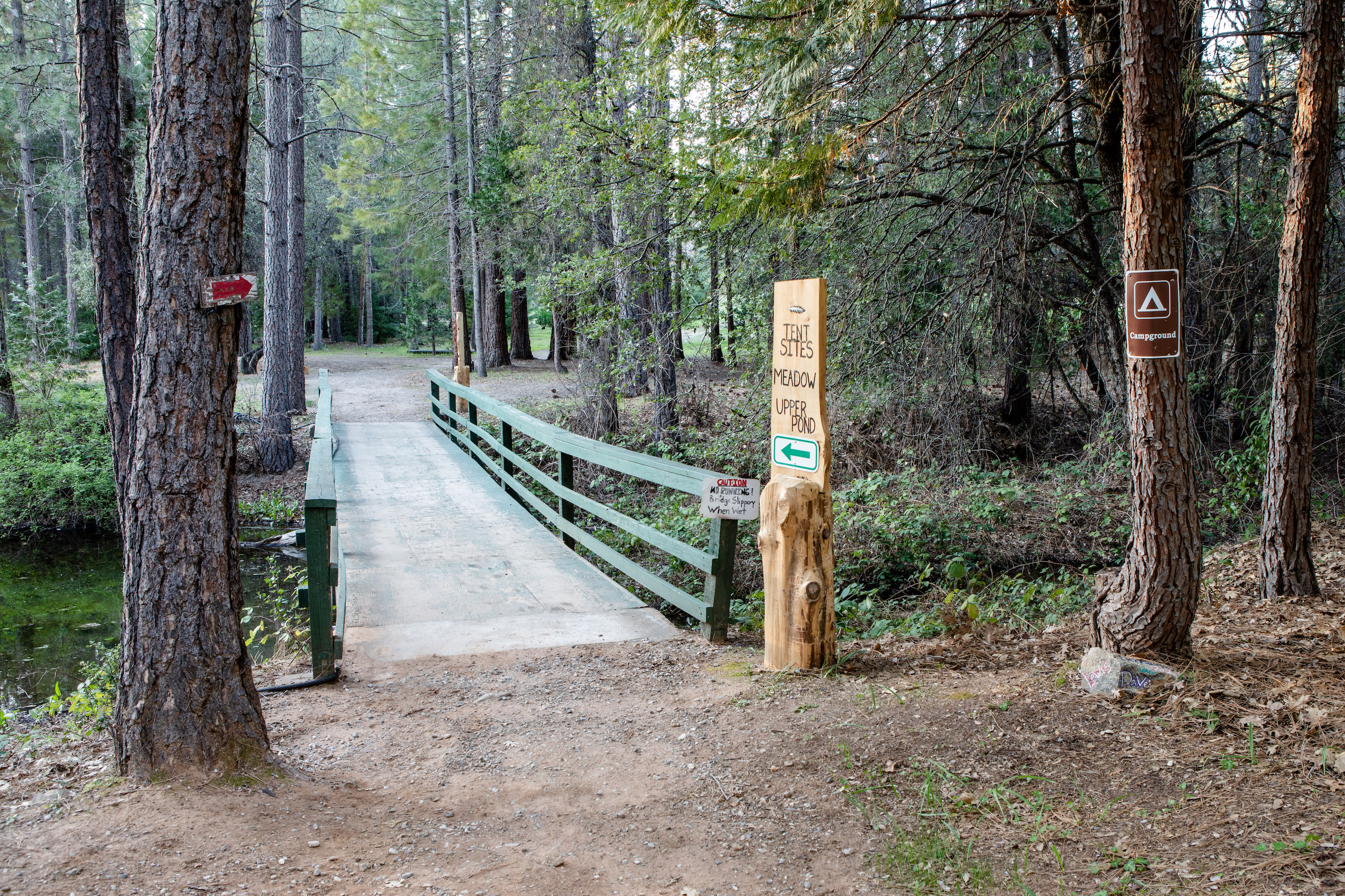 Camp Treefeathers