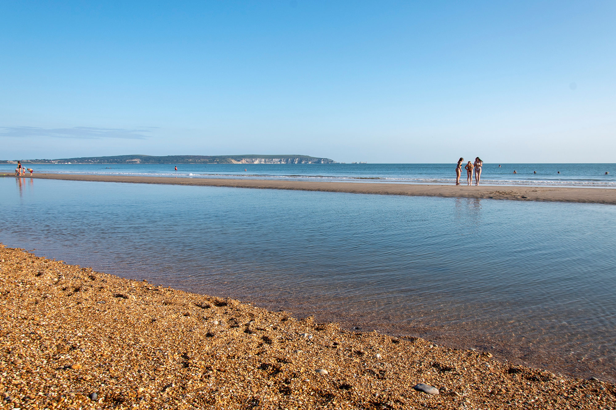 Muddycreek Farm (New Forest)