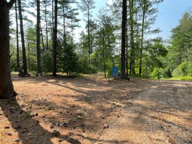 Open space for Camper/Bus/RV
(This space can accommodate several Rigs traveling together-ask camp host for details)