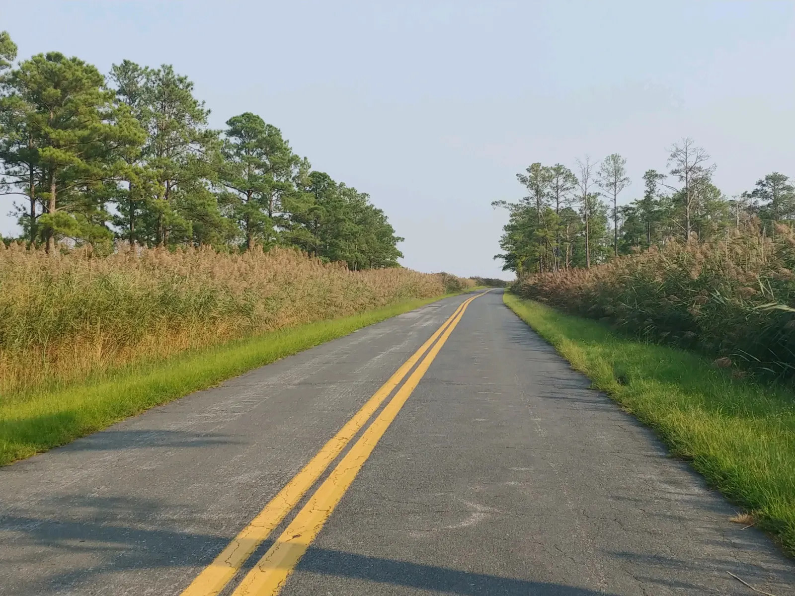 Levin's Waterfront @ Blackwater