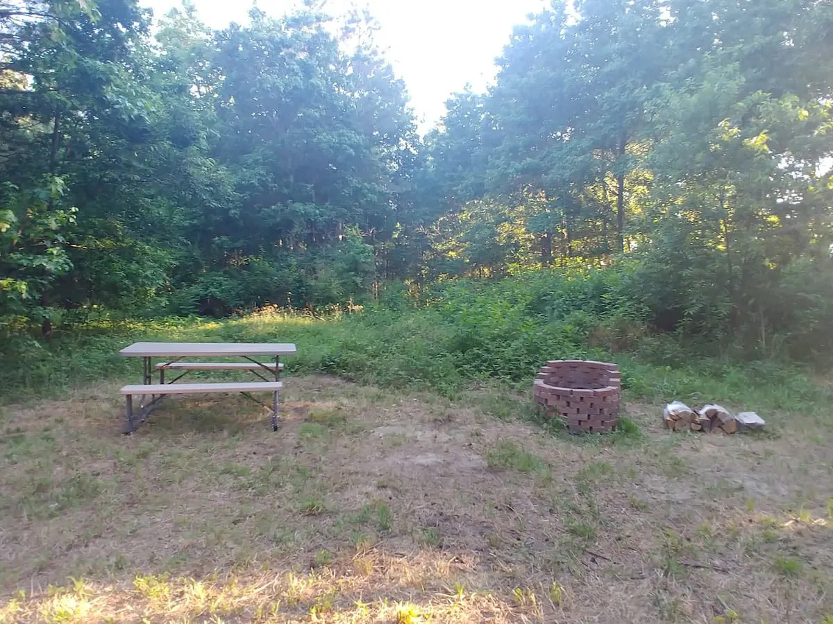 Forest Bathing Campsite