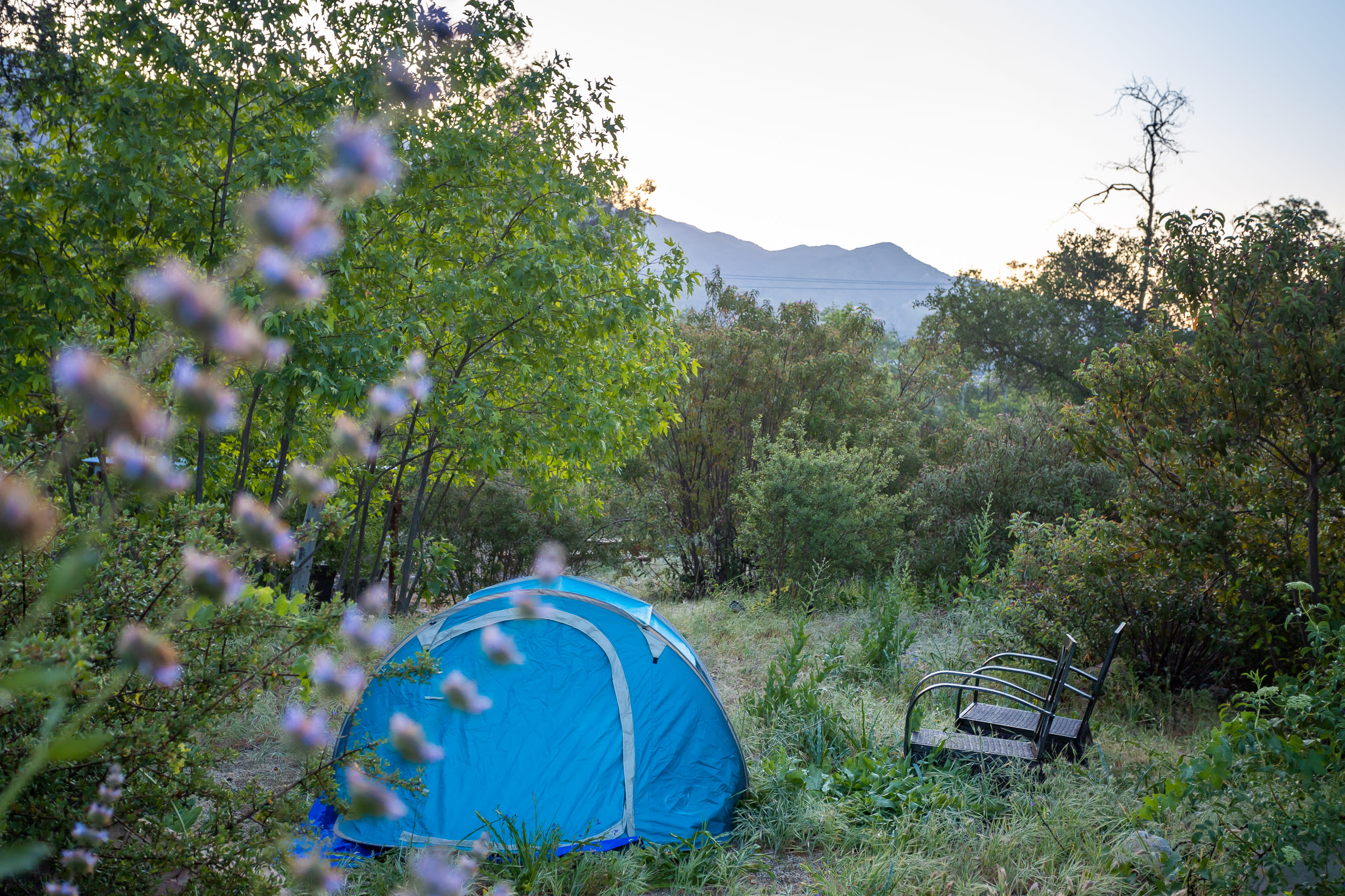 The sand site, near the creek. 