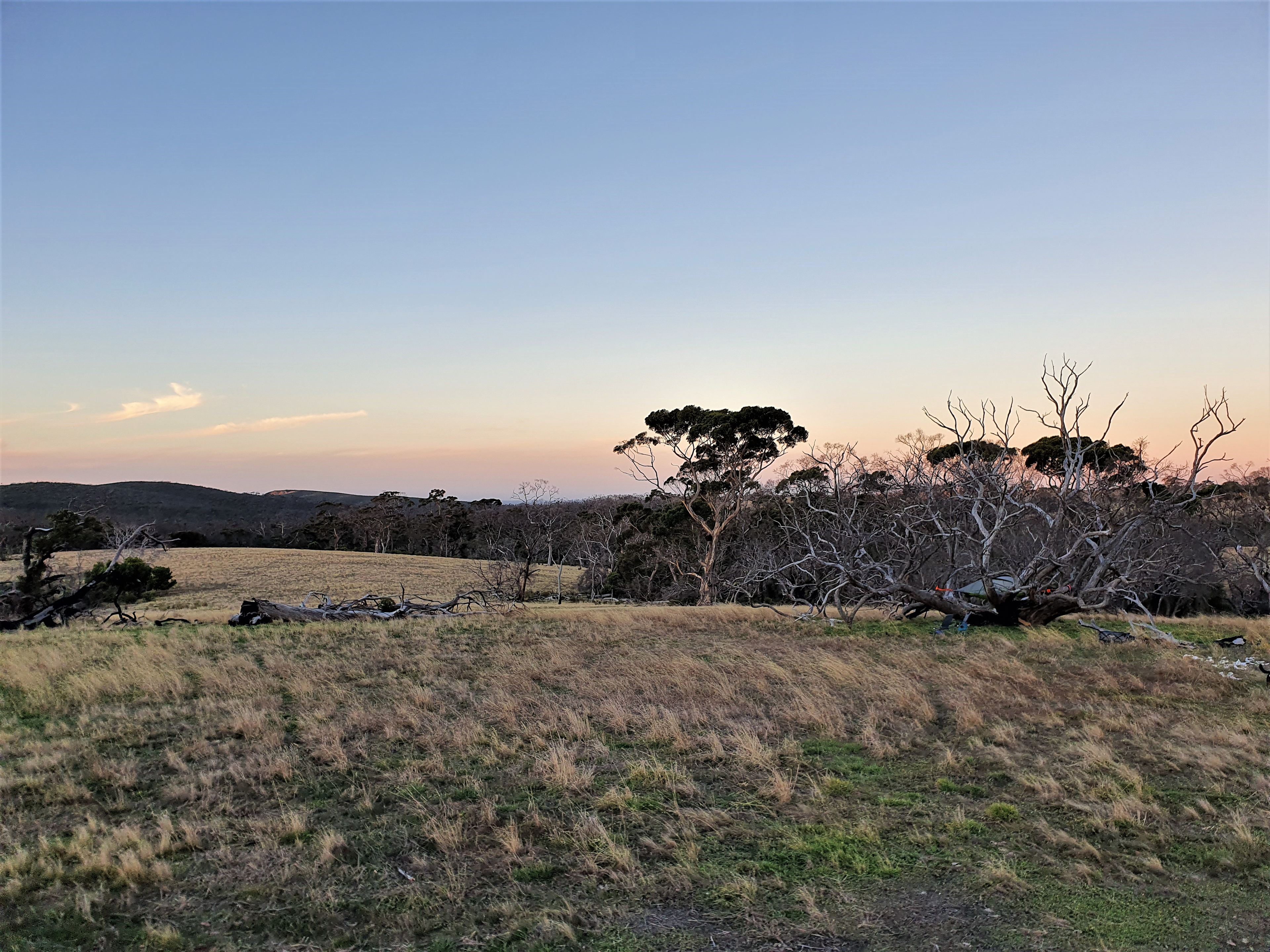 The Site