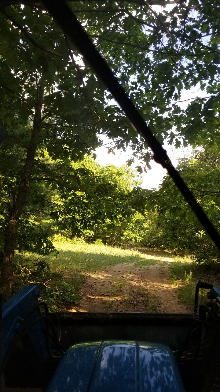 B Mo's Hideout