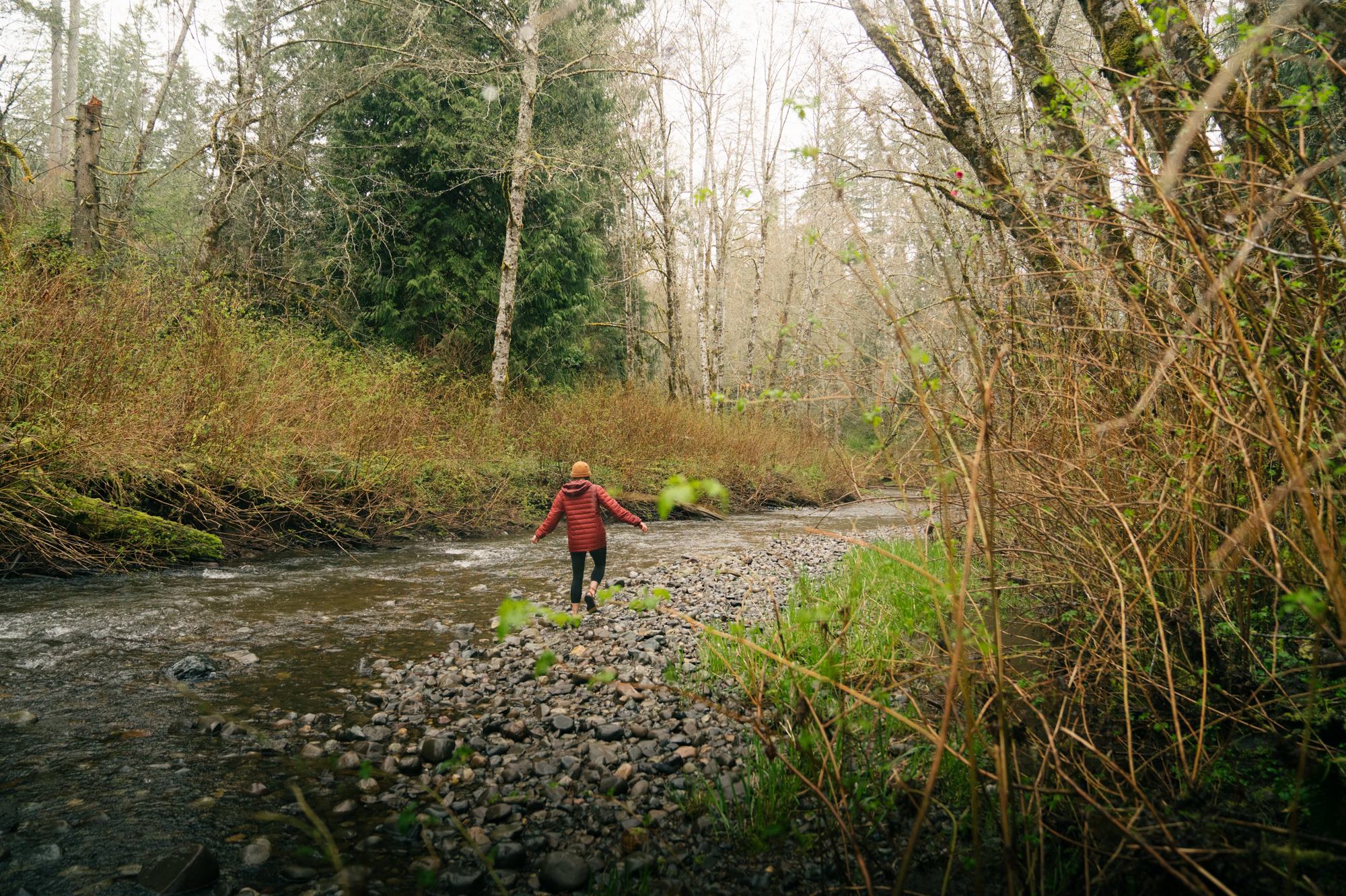 Salt Creek Meadows