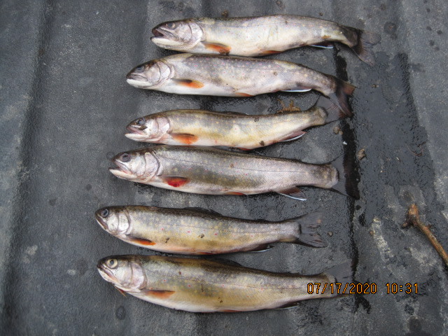 Gardiner Farms RV Site