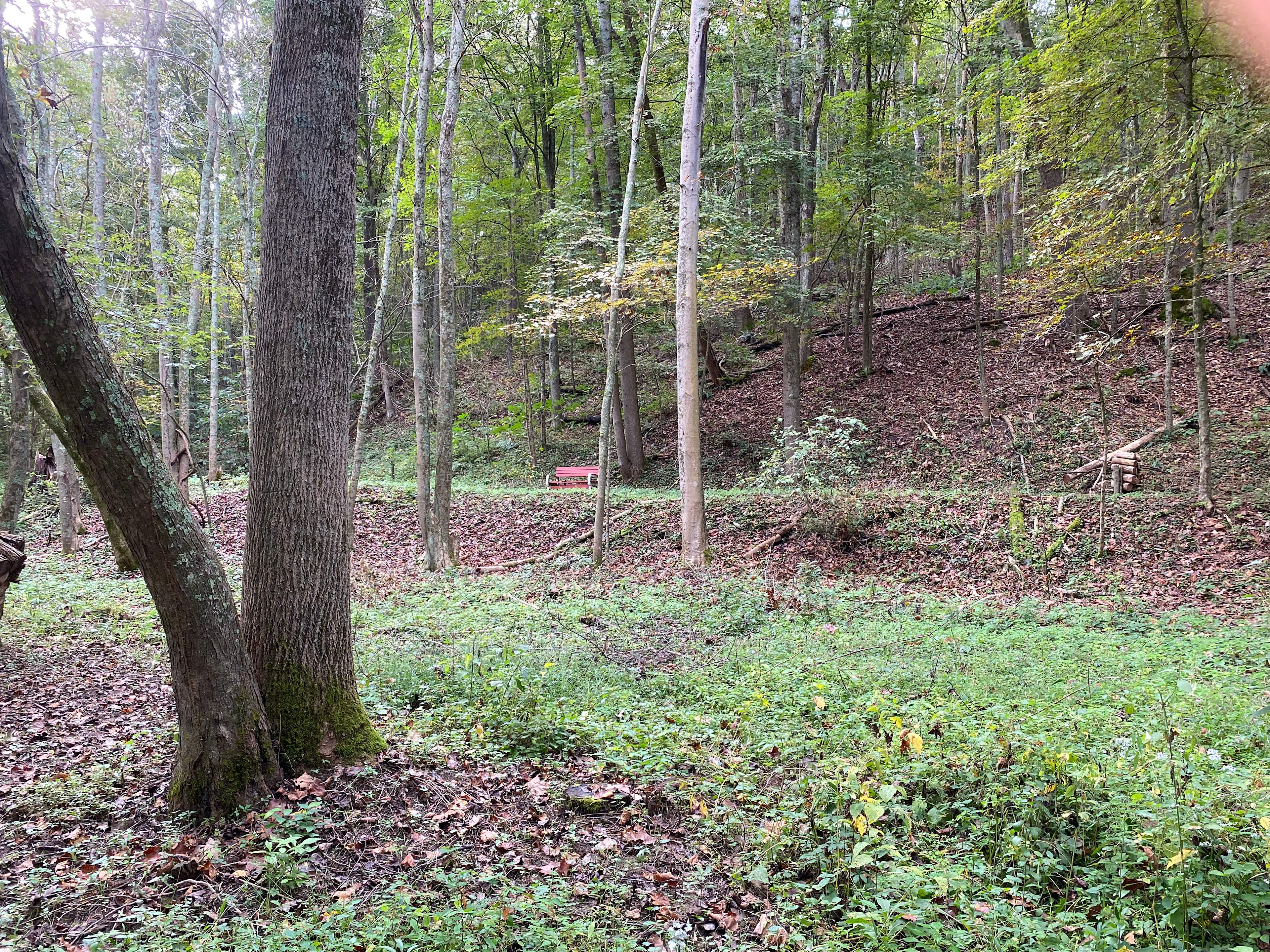 Along the old railroad back to the sites