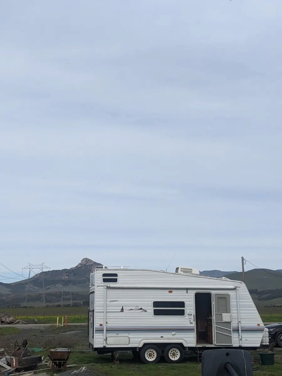 Organic farm and horse camp
