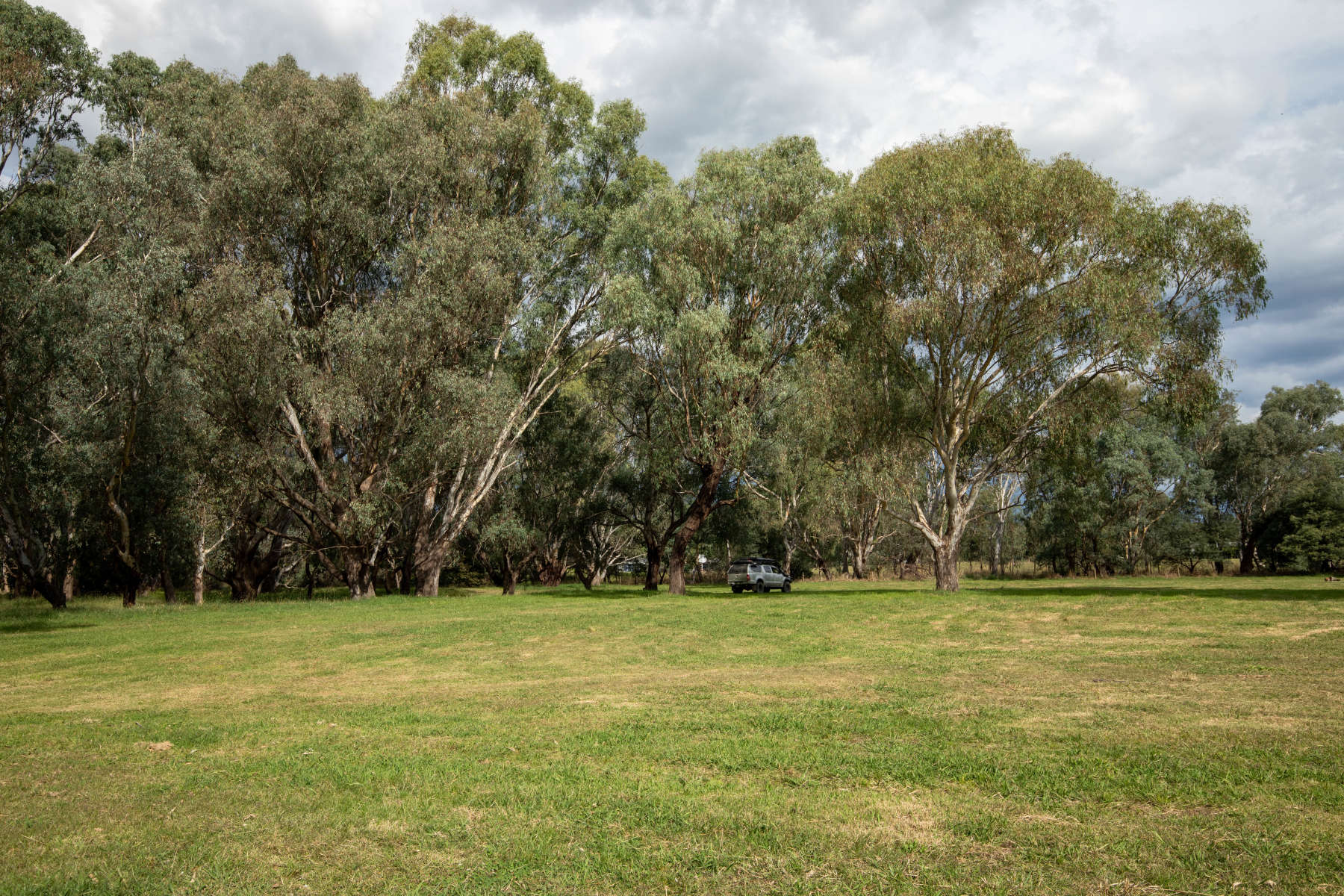 Jackaleah Farm Stay - Camping