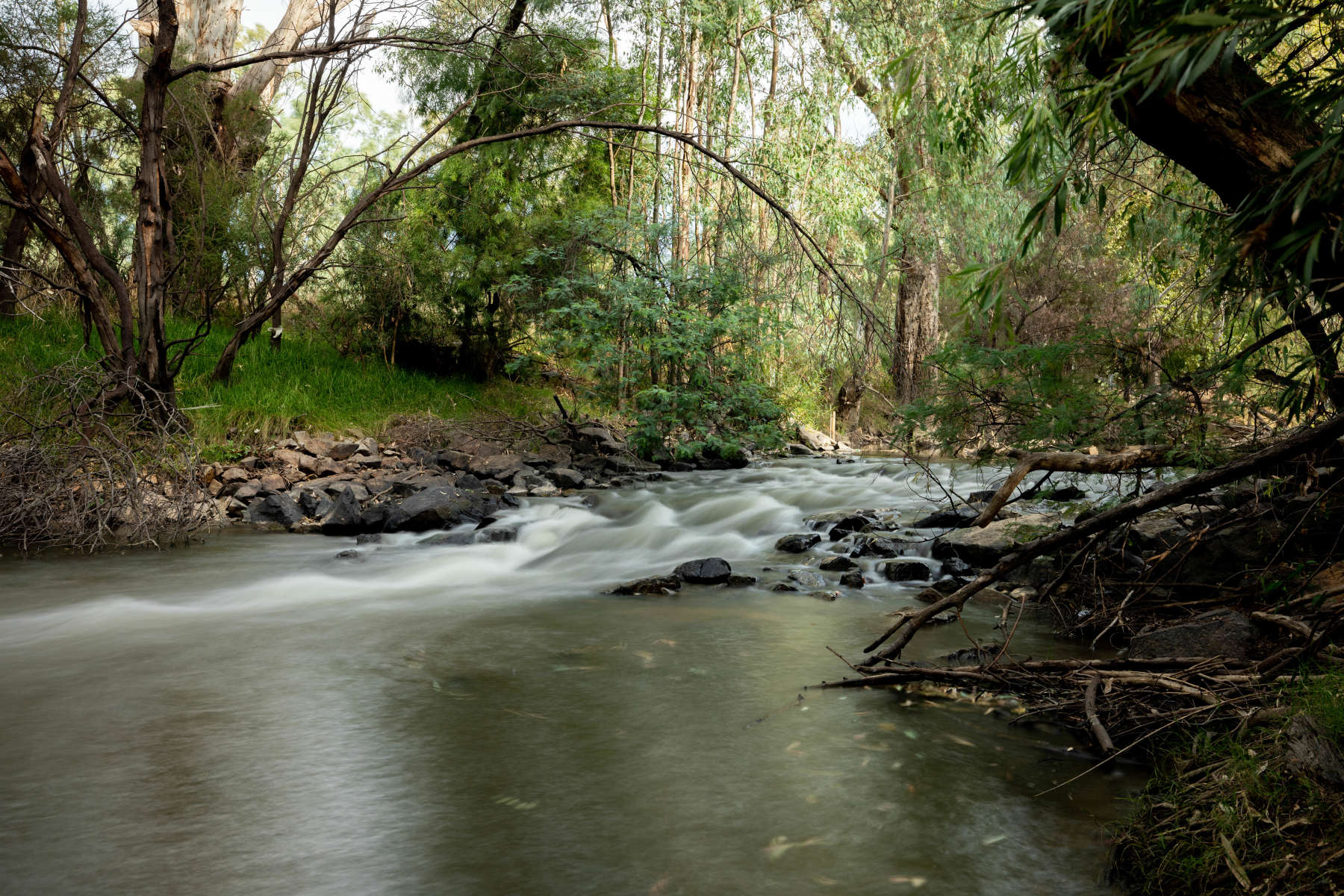 Jackaleah Farm Stay - Camping