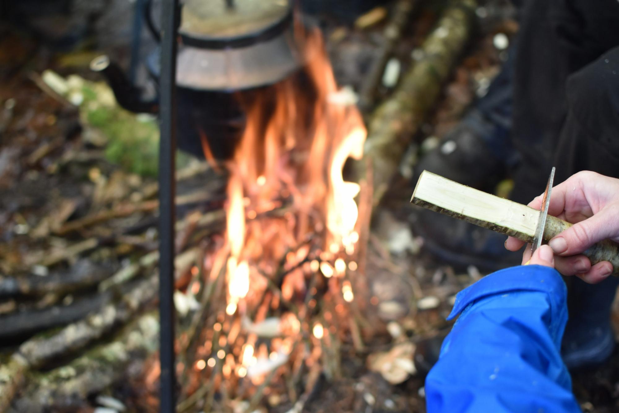 Ancient Woodland Eco-Glamping