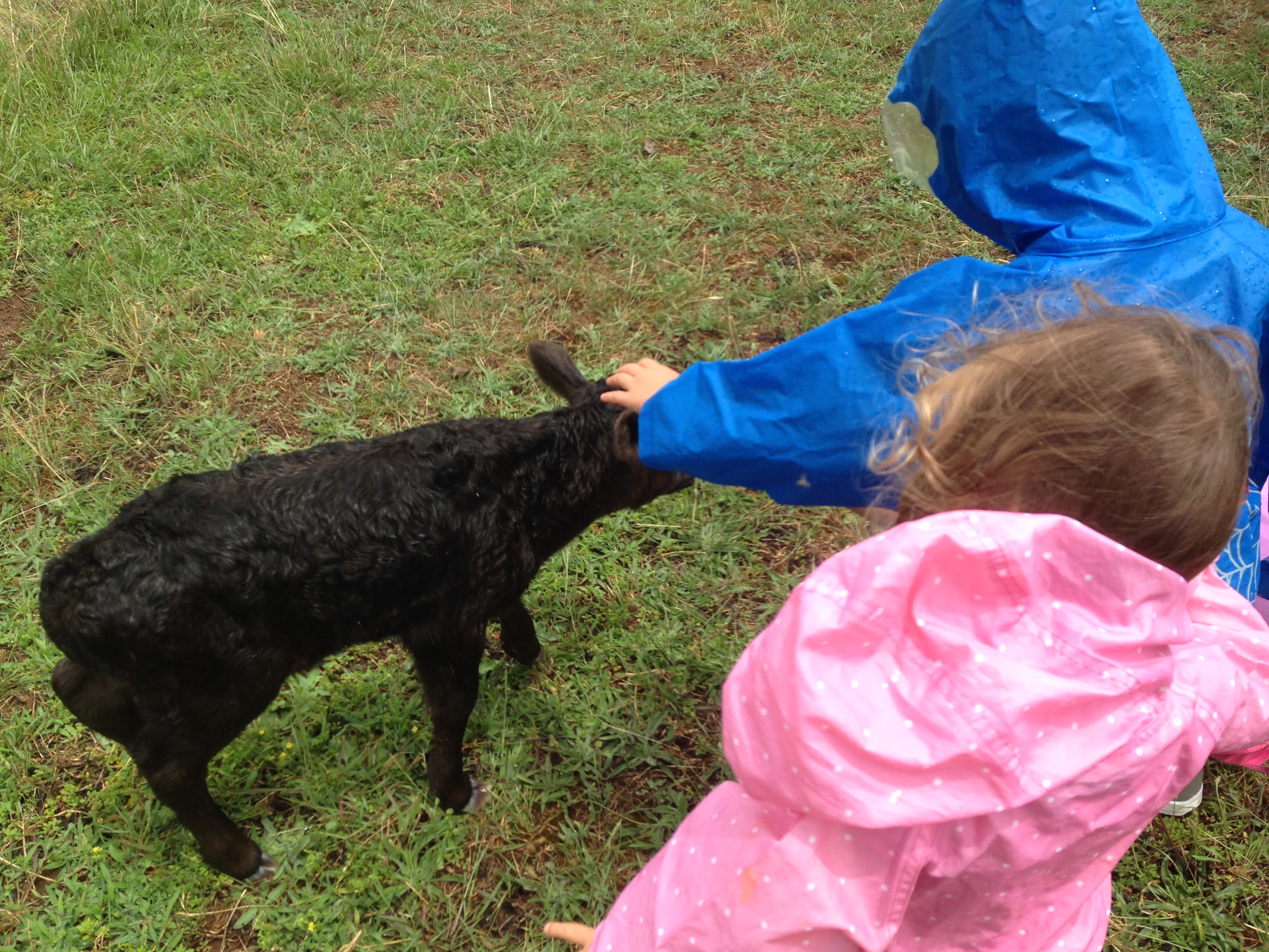 MOUNTAIN VIEW RETREAT