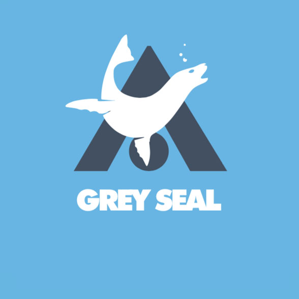 Preseli Glamping woodland camping