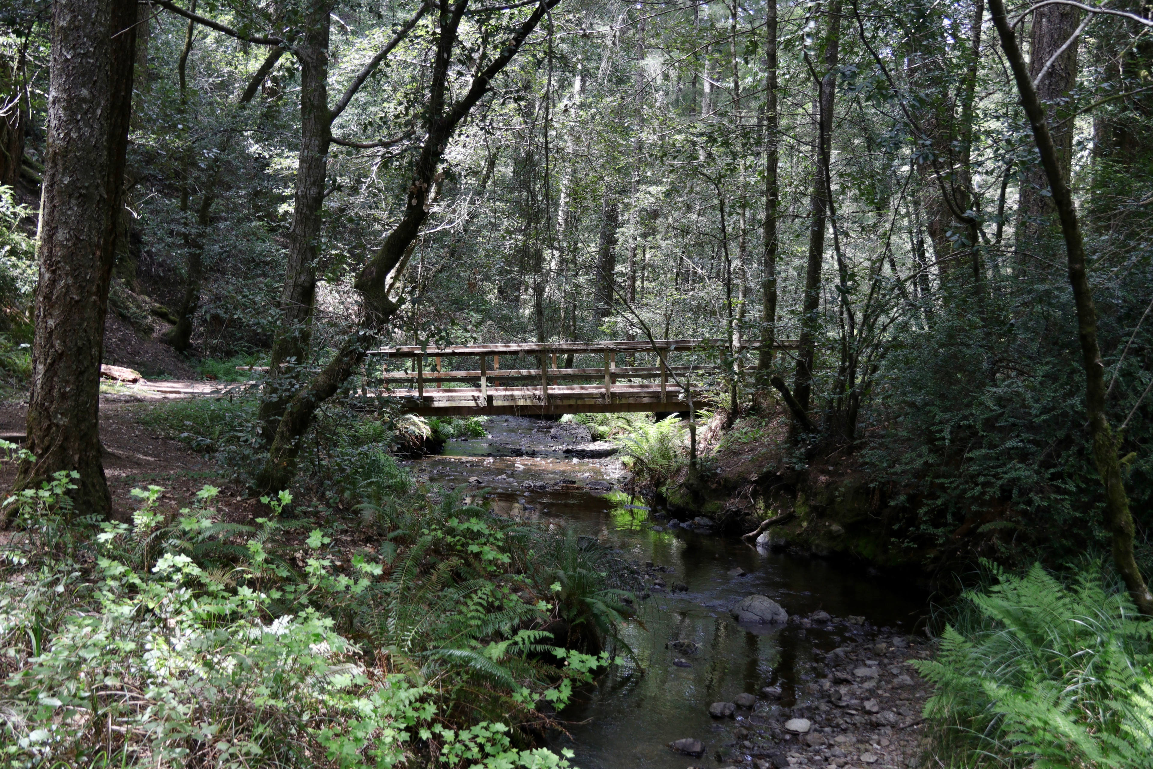 Walk to hiking trails