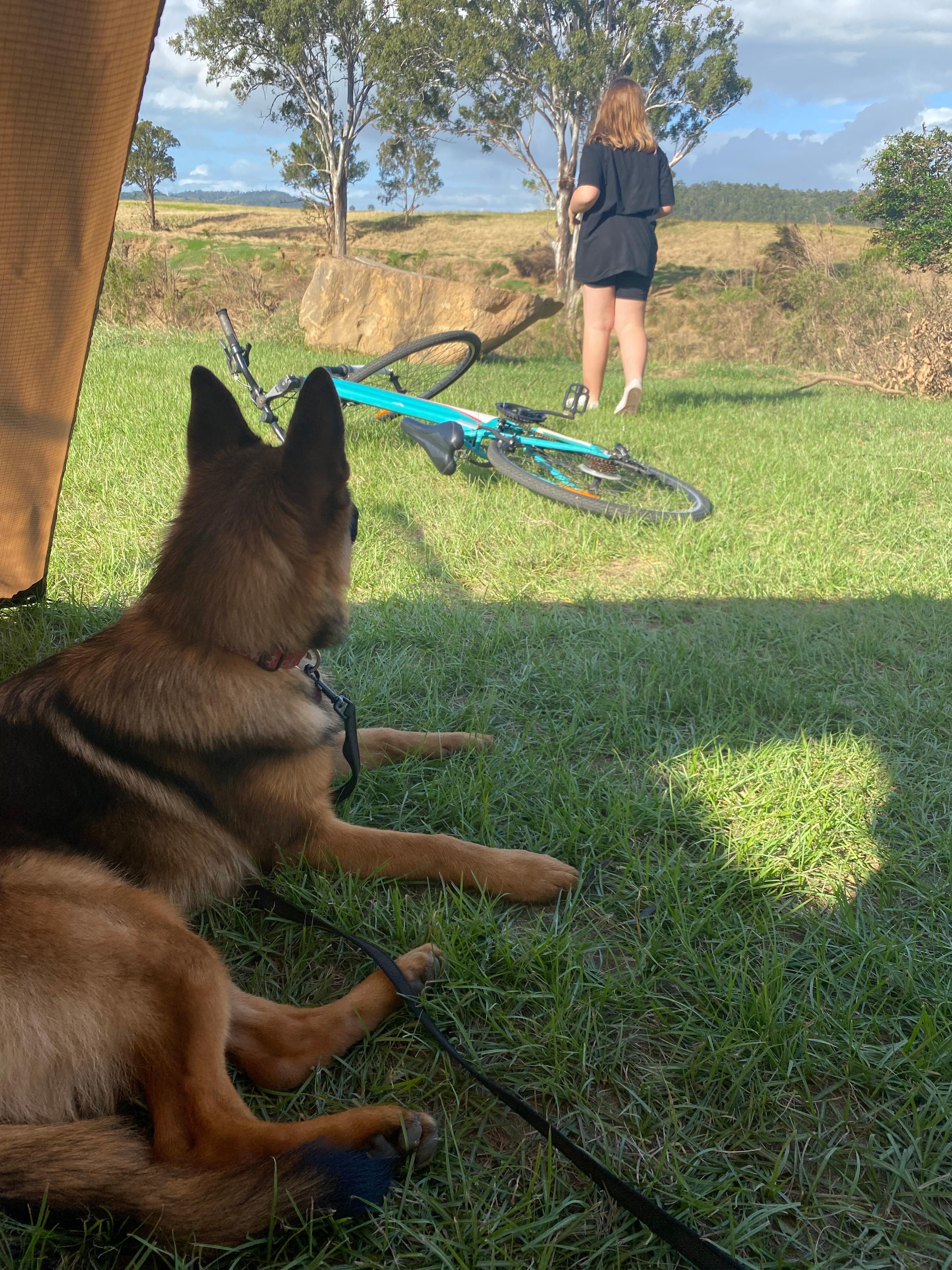 Prime Mary River Camping