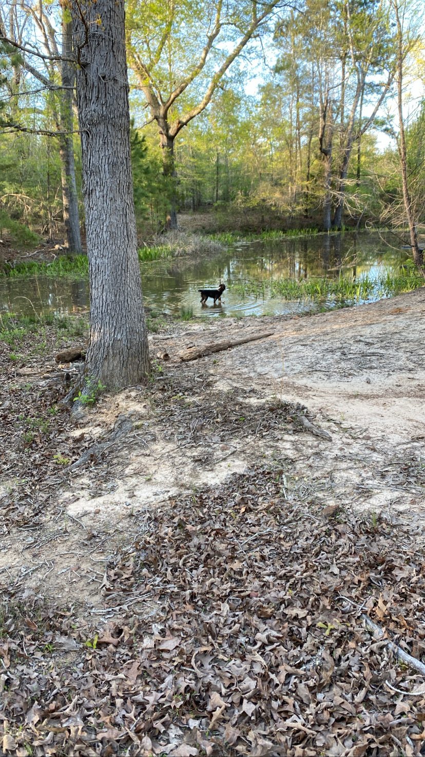 The Retreat @ Borah Farm