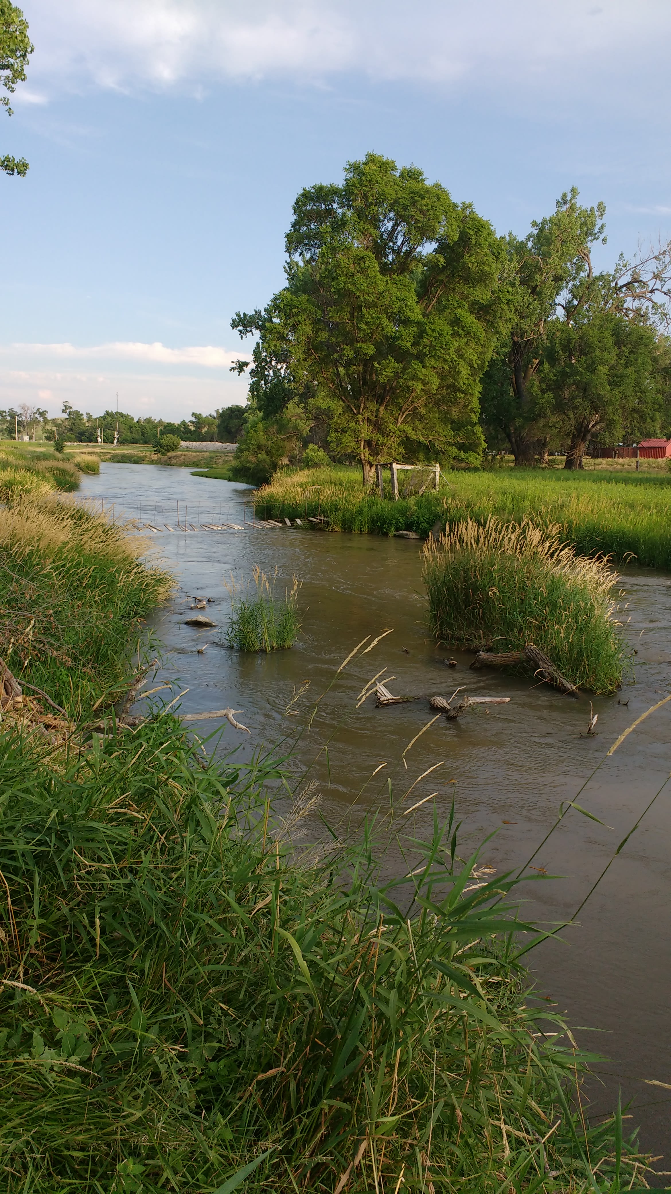 Middle Loup River, most constant flowing river on the planet!