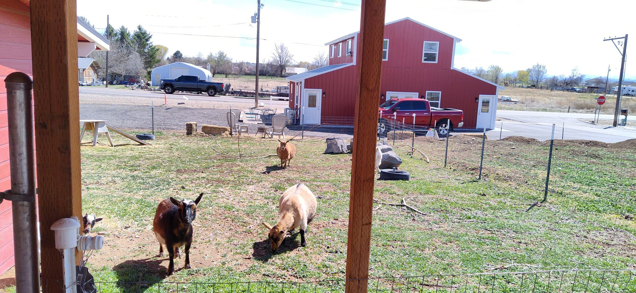 Rex & Cate's Hobby Farm