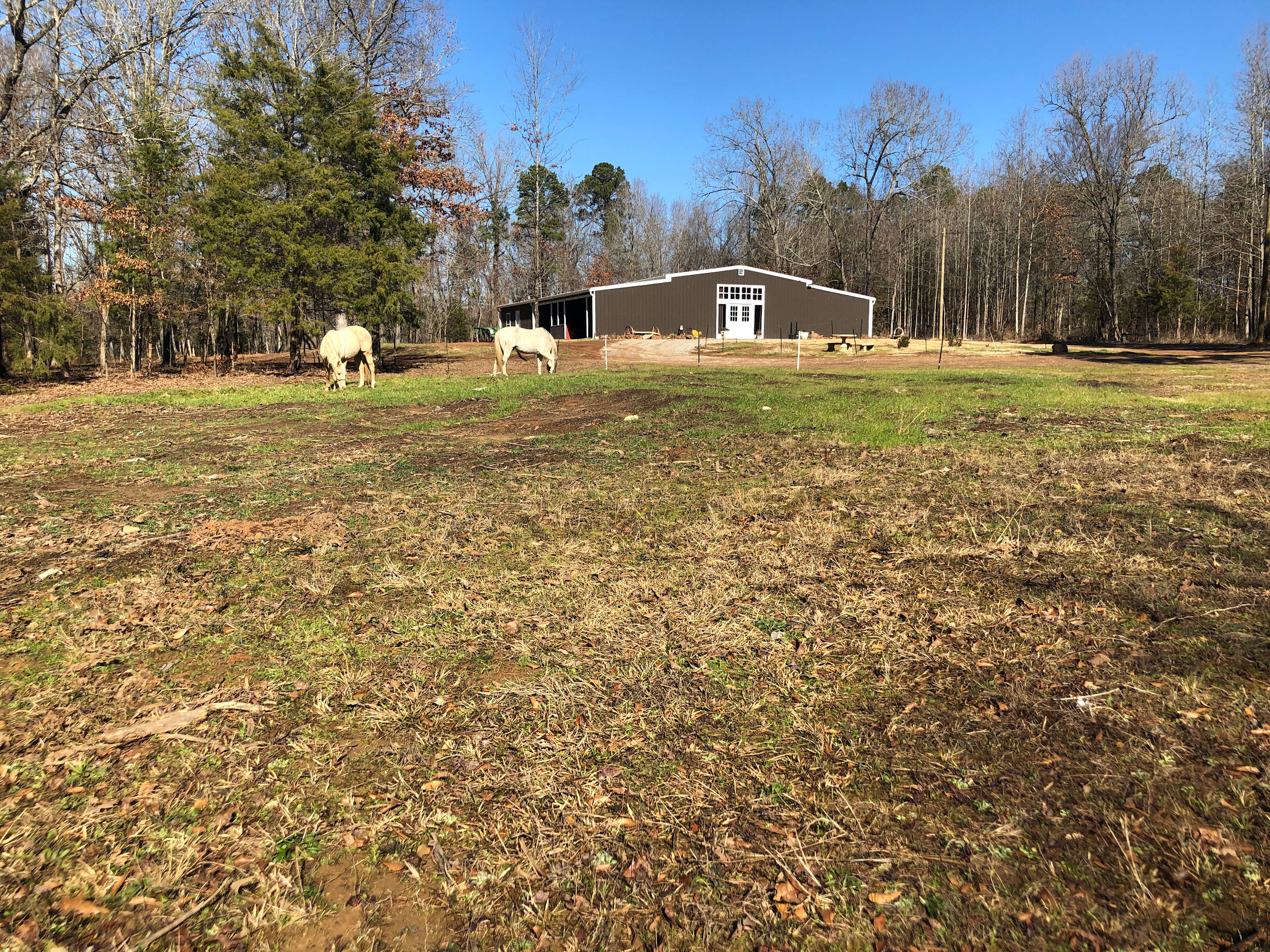 Coppergate Ranch