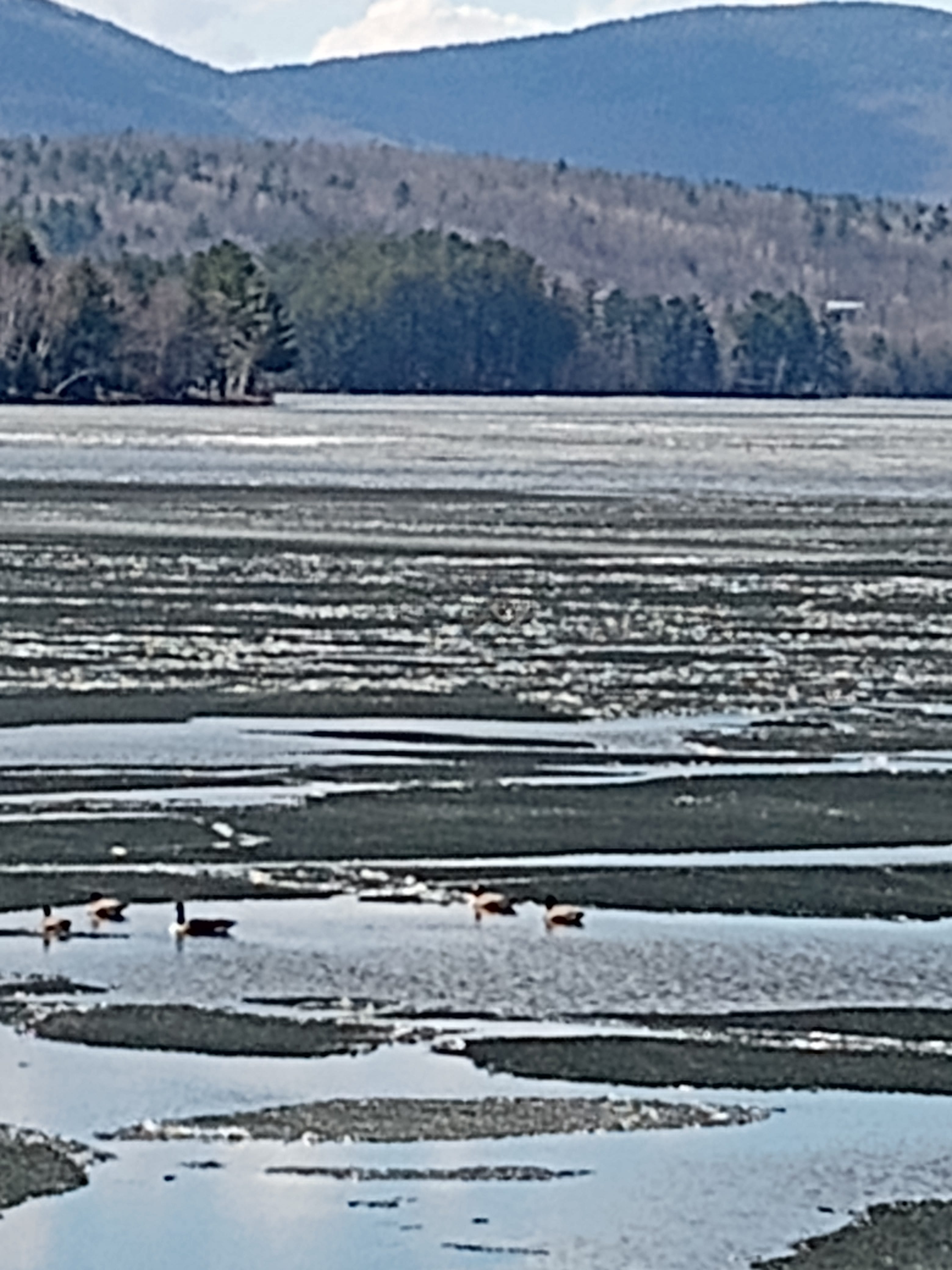 Wilson lake campground