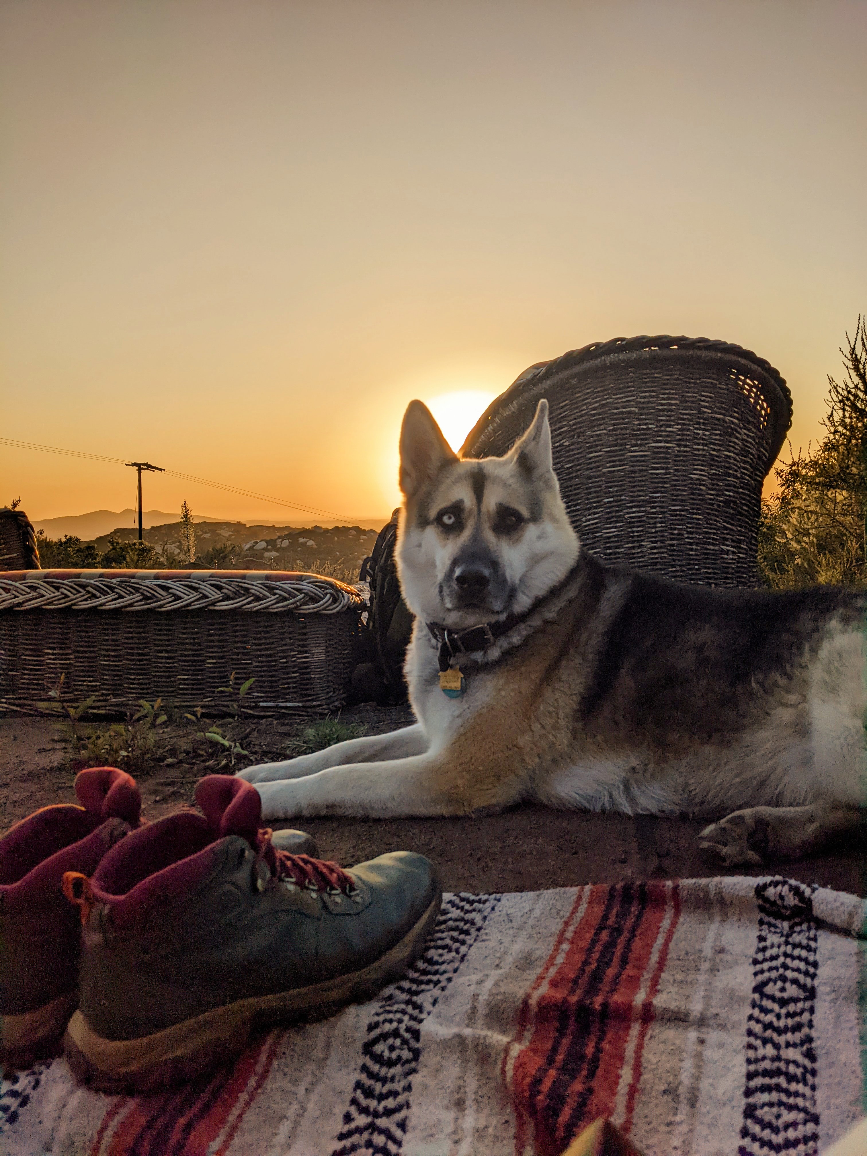 Private mountain, ocean view 🏕
