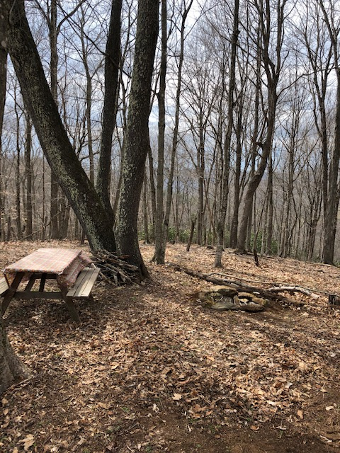 Tent camping with magnificent views