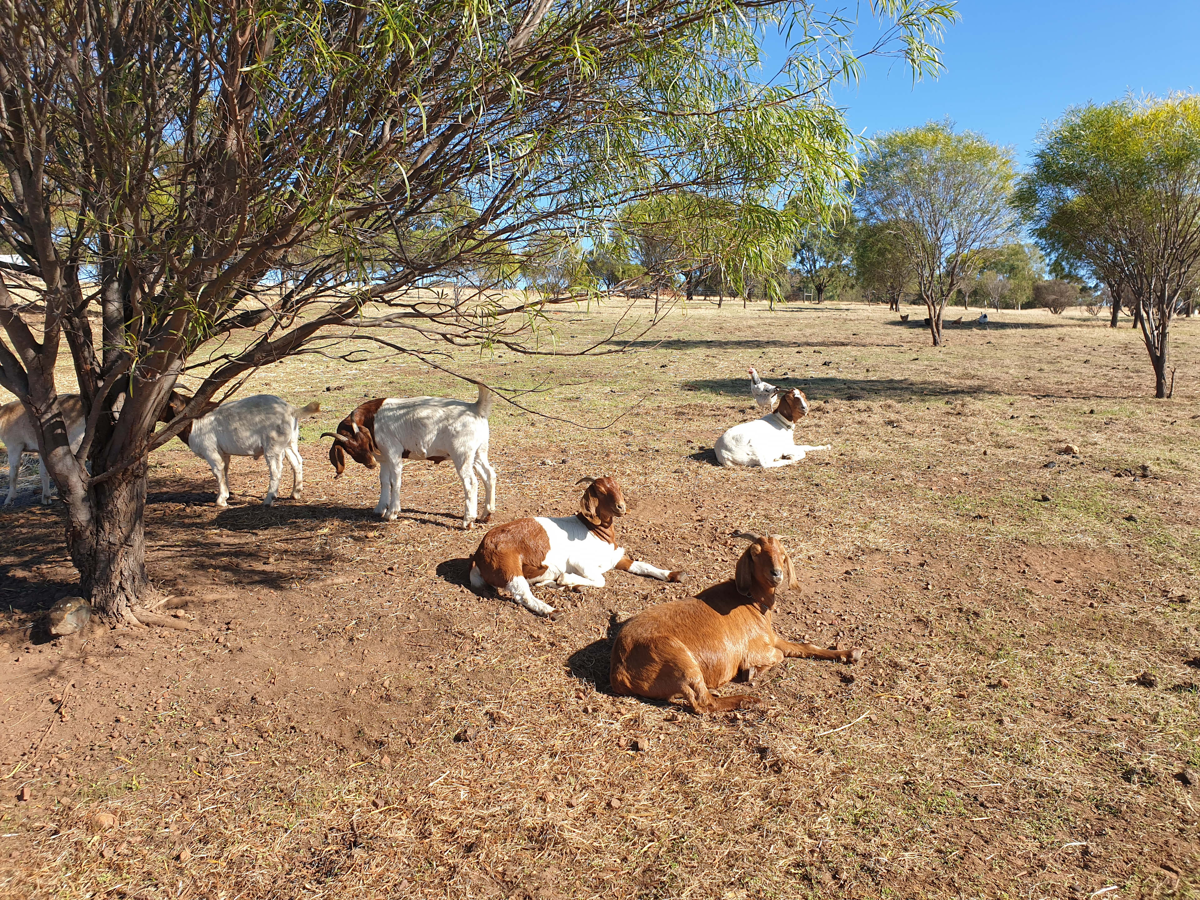 Avonbrook Wheatbelt creekside camp