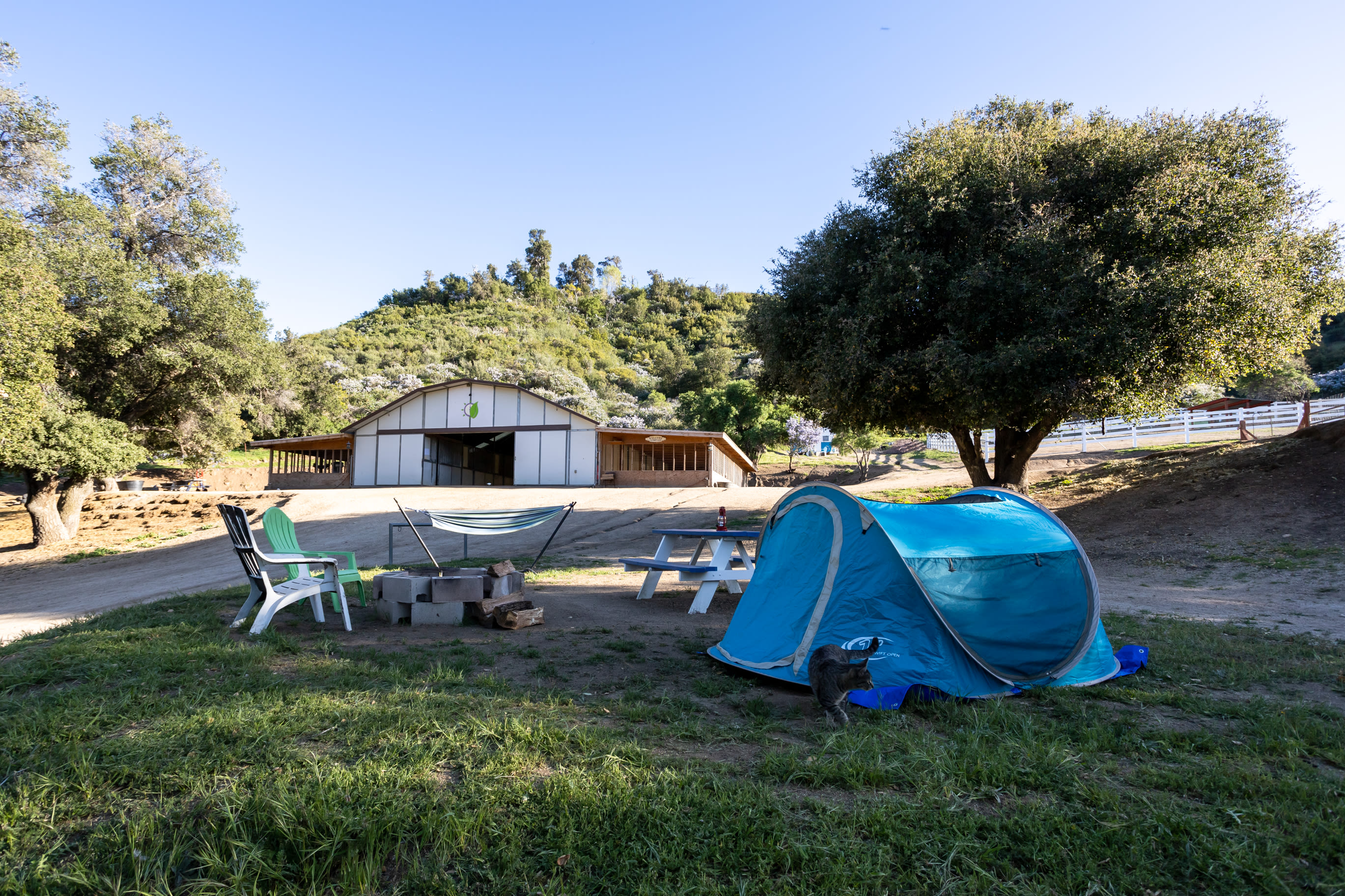 Loomerland Ranch and Retreat