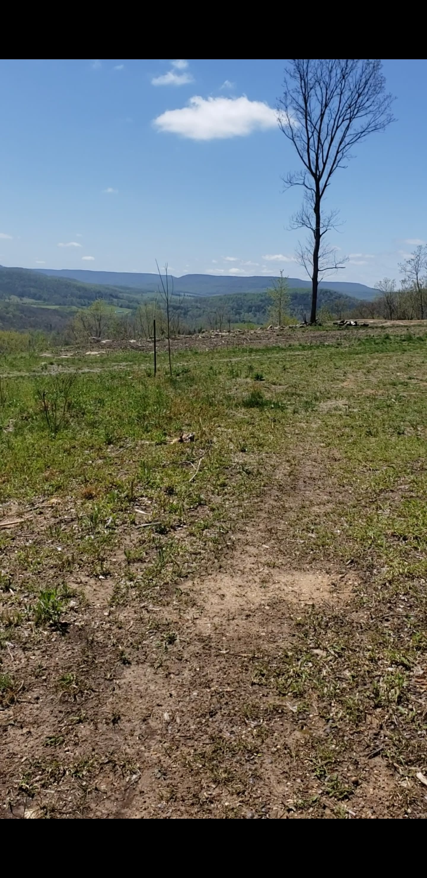 MountainView Rock island  Campsite