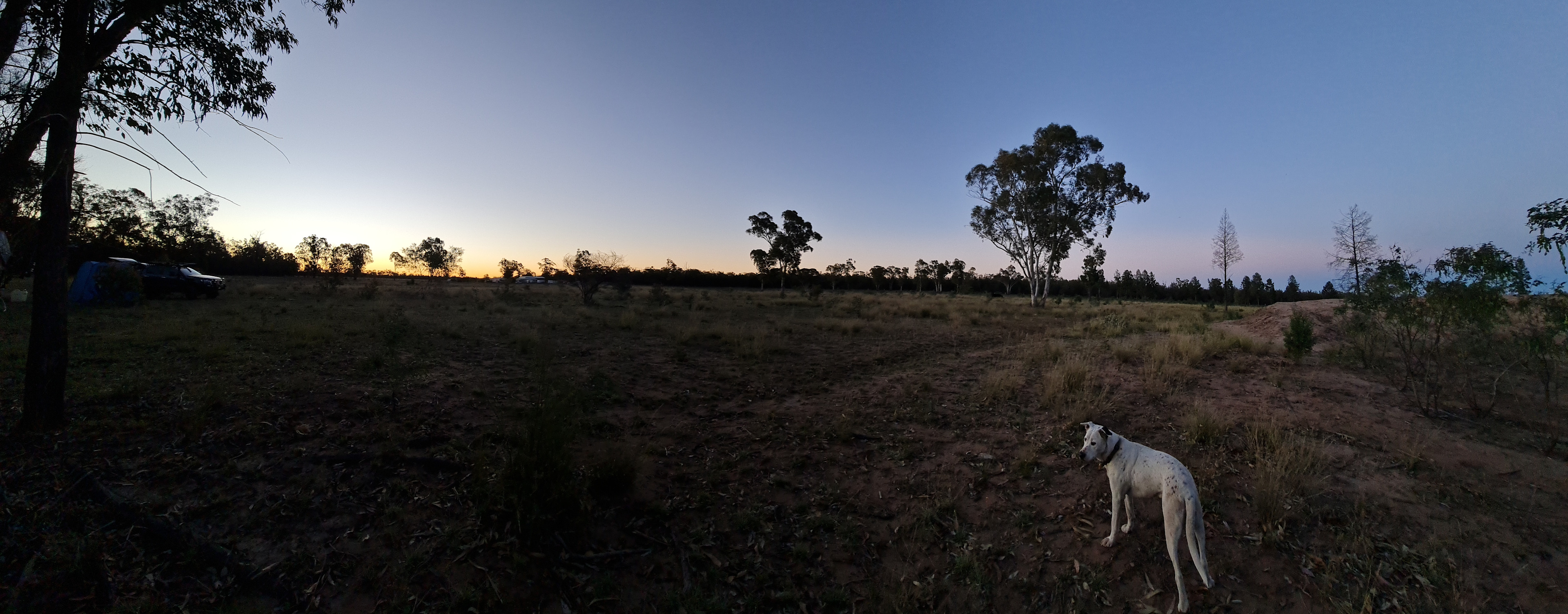 Kurrajong Bush Camping