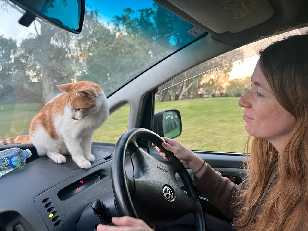 Pringy's Farm Balnagask