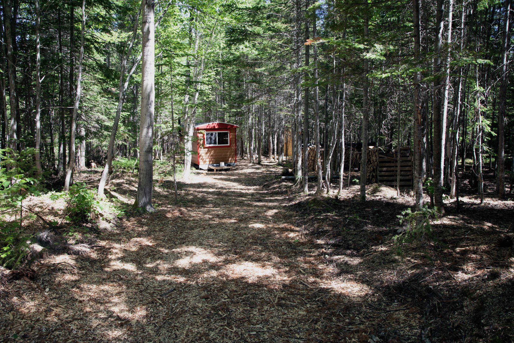 Lovely Tiny House in the Forest
