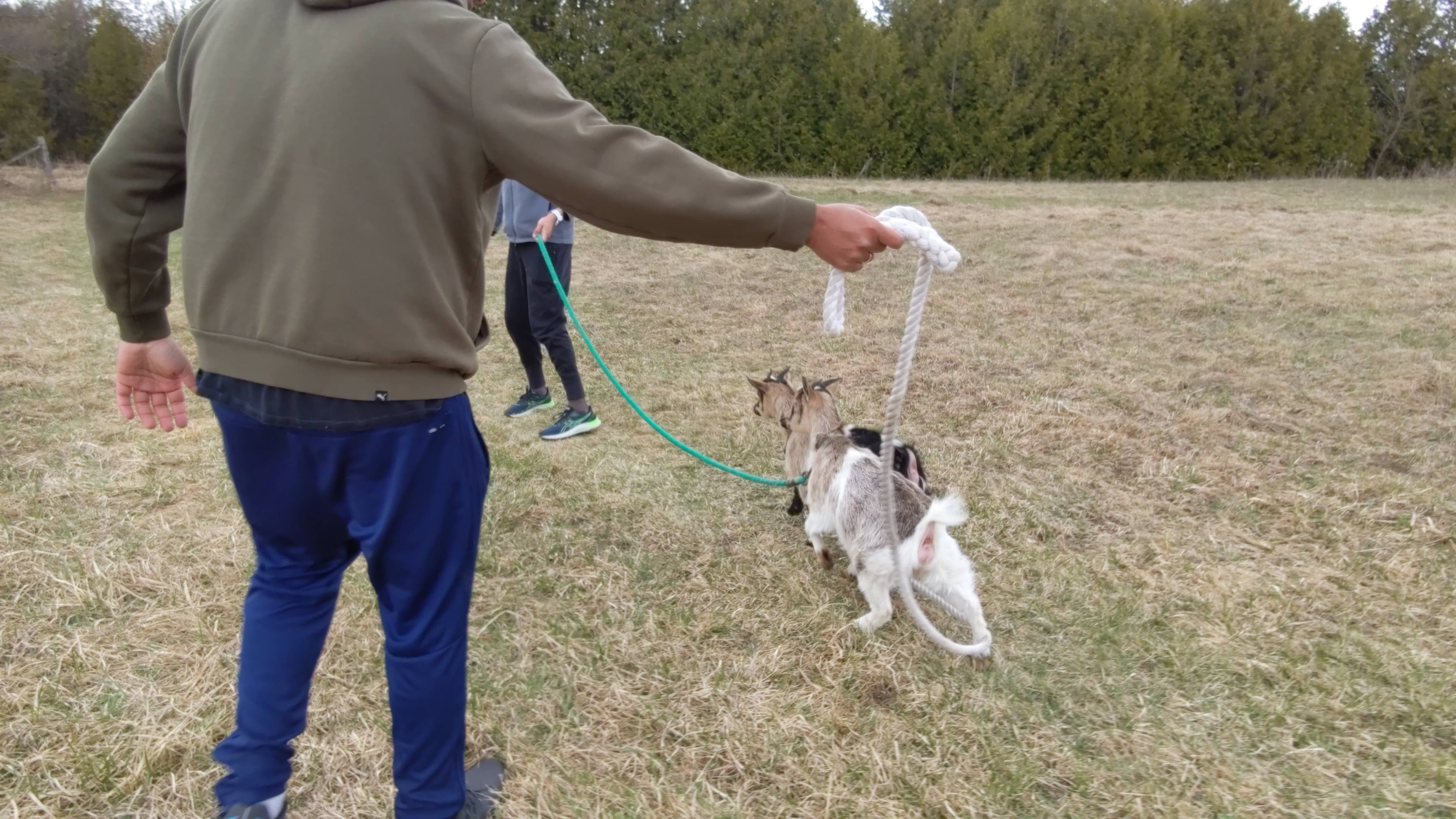 Tranquil and Private Camping