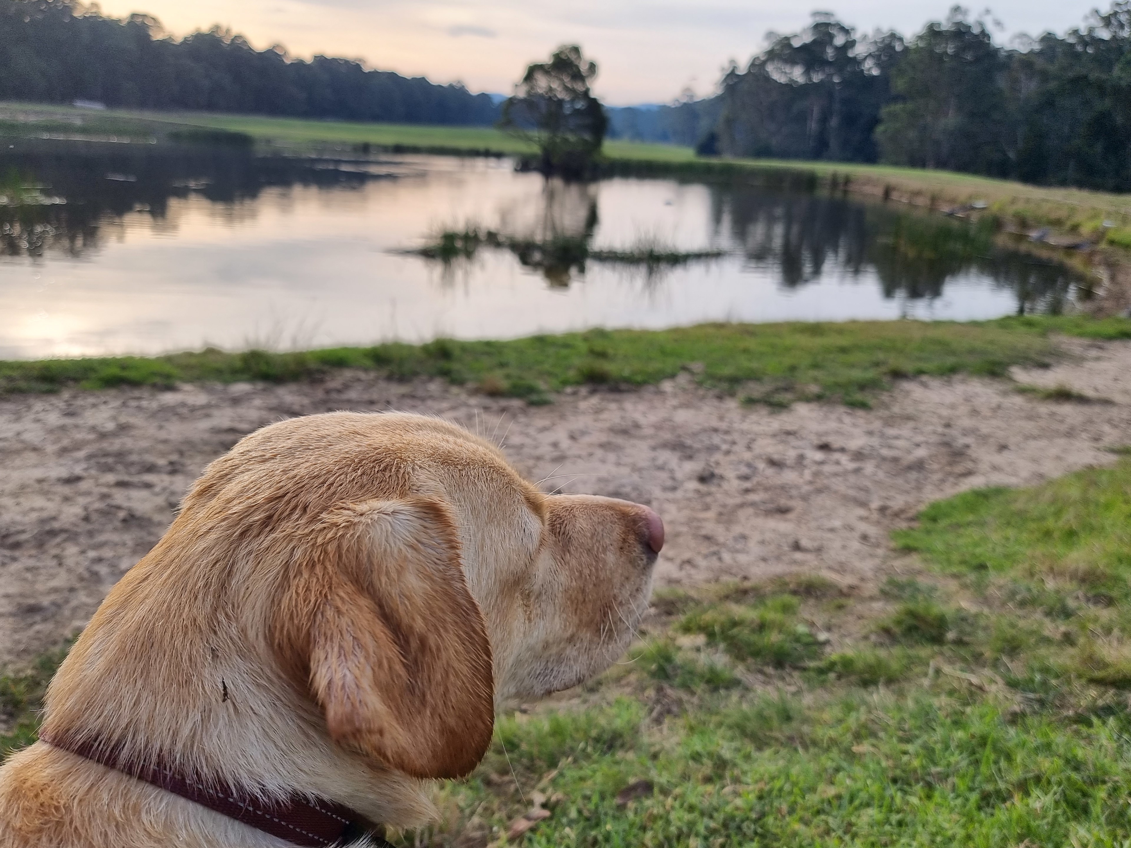 Bruthen Creek Pastoral Farmstay