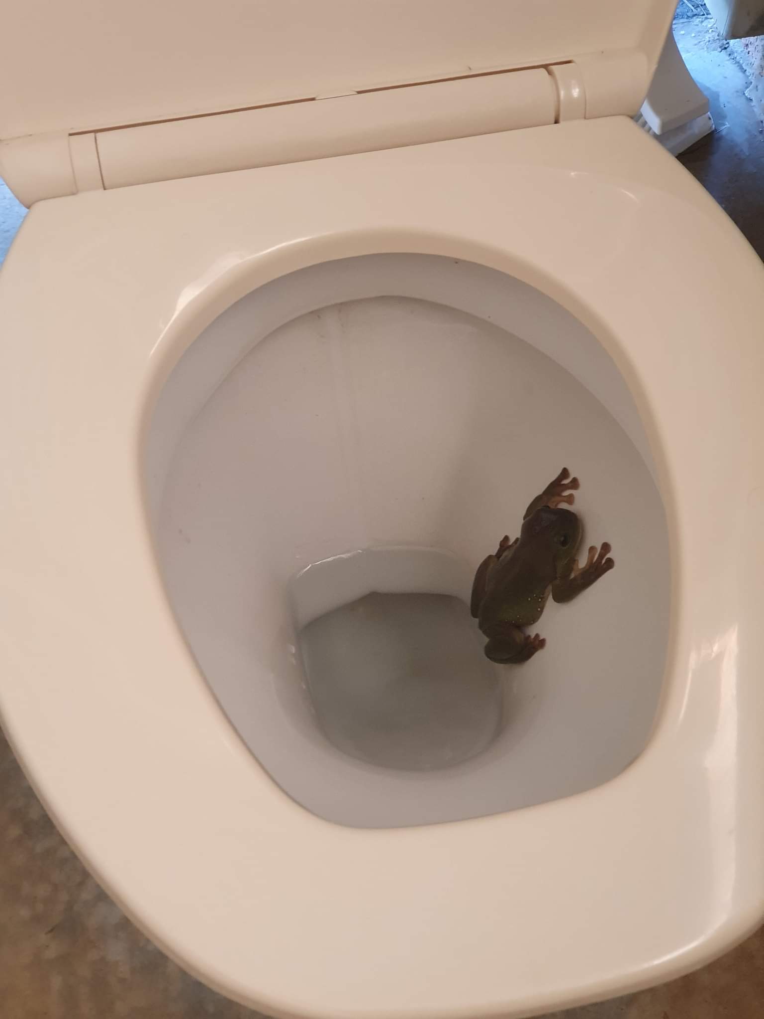  lucky there are multiple toilets to choose from! 😅