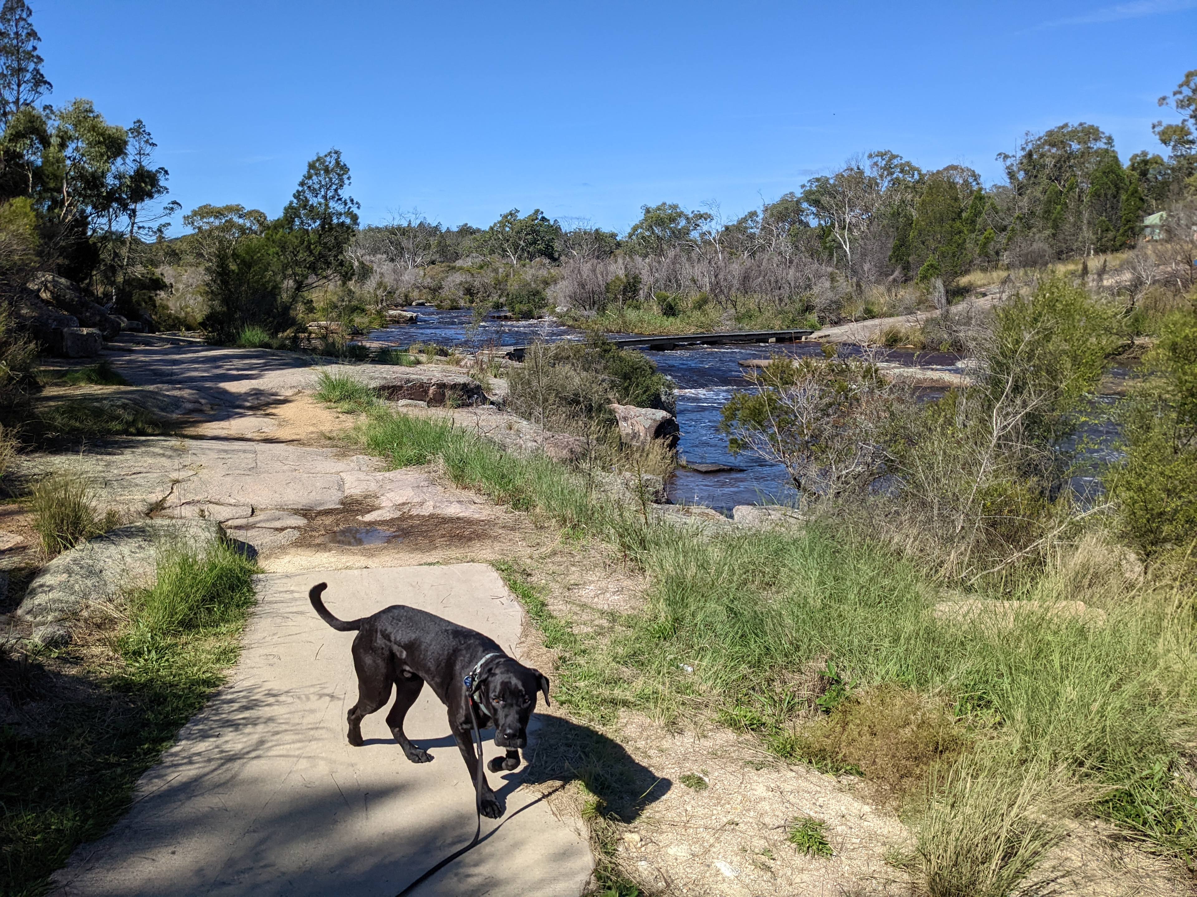 Bush Farm Camp by the Dam