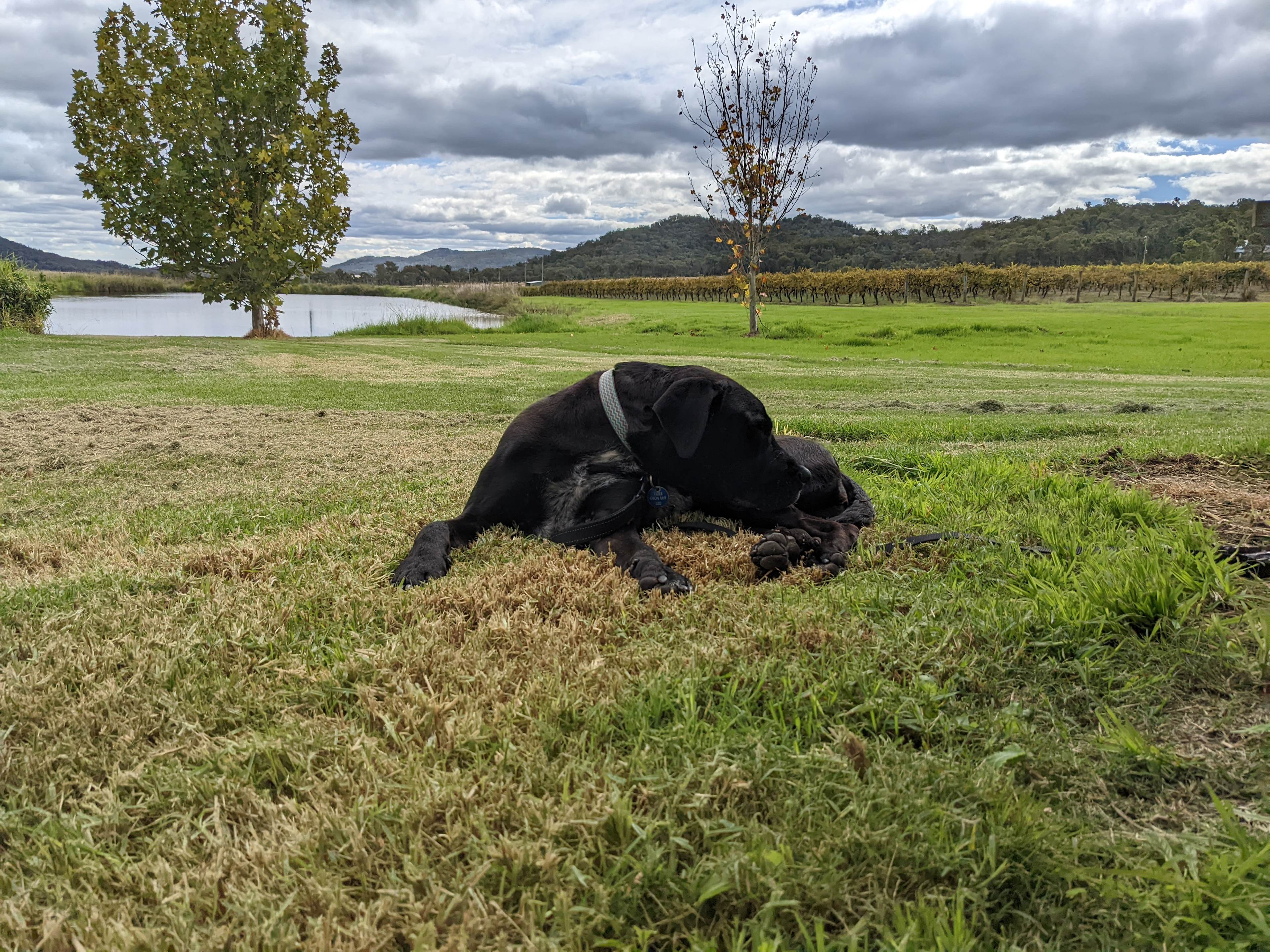 Bush Farm Camp by the Dam