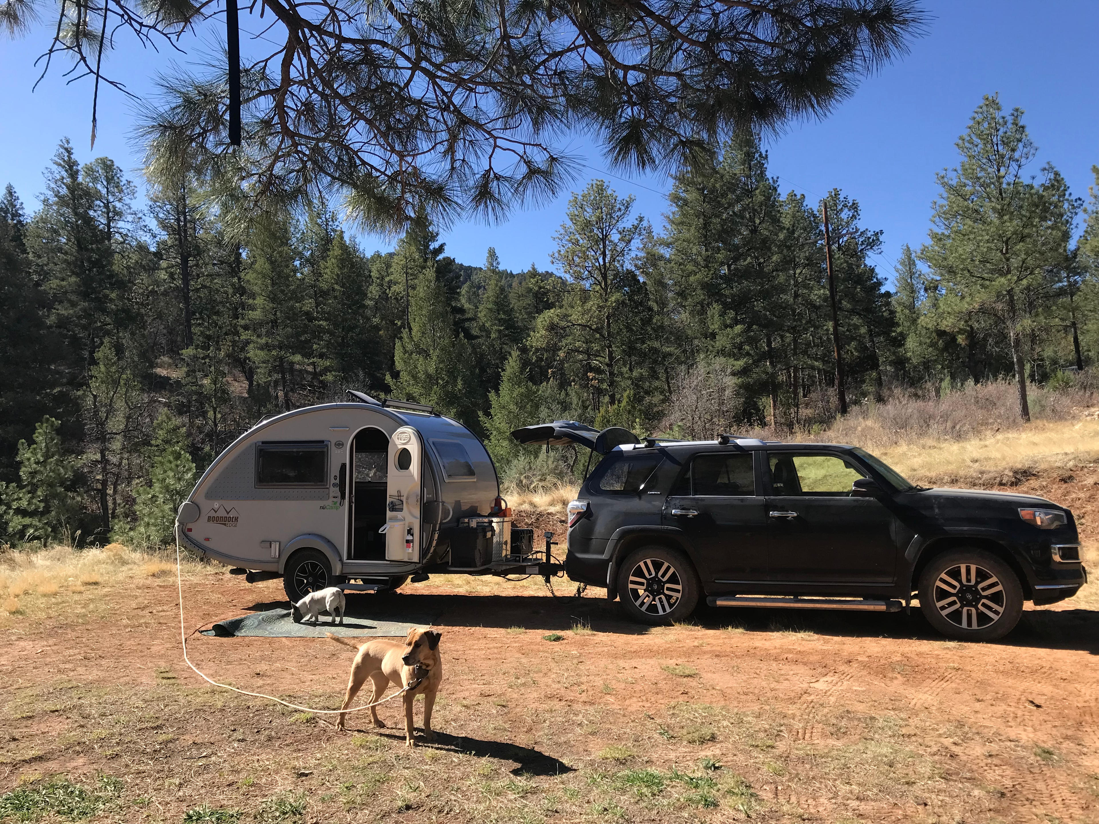 Sugarhill Campgrounds🐞🙏