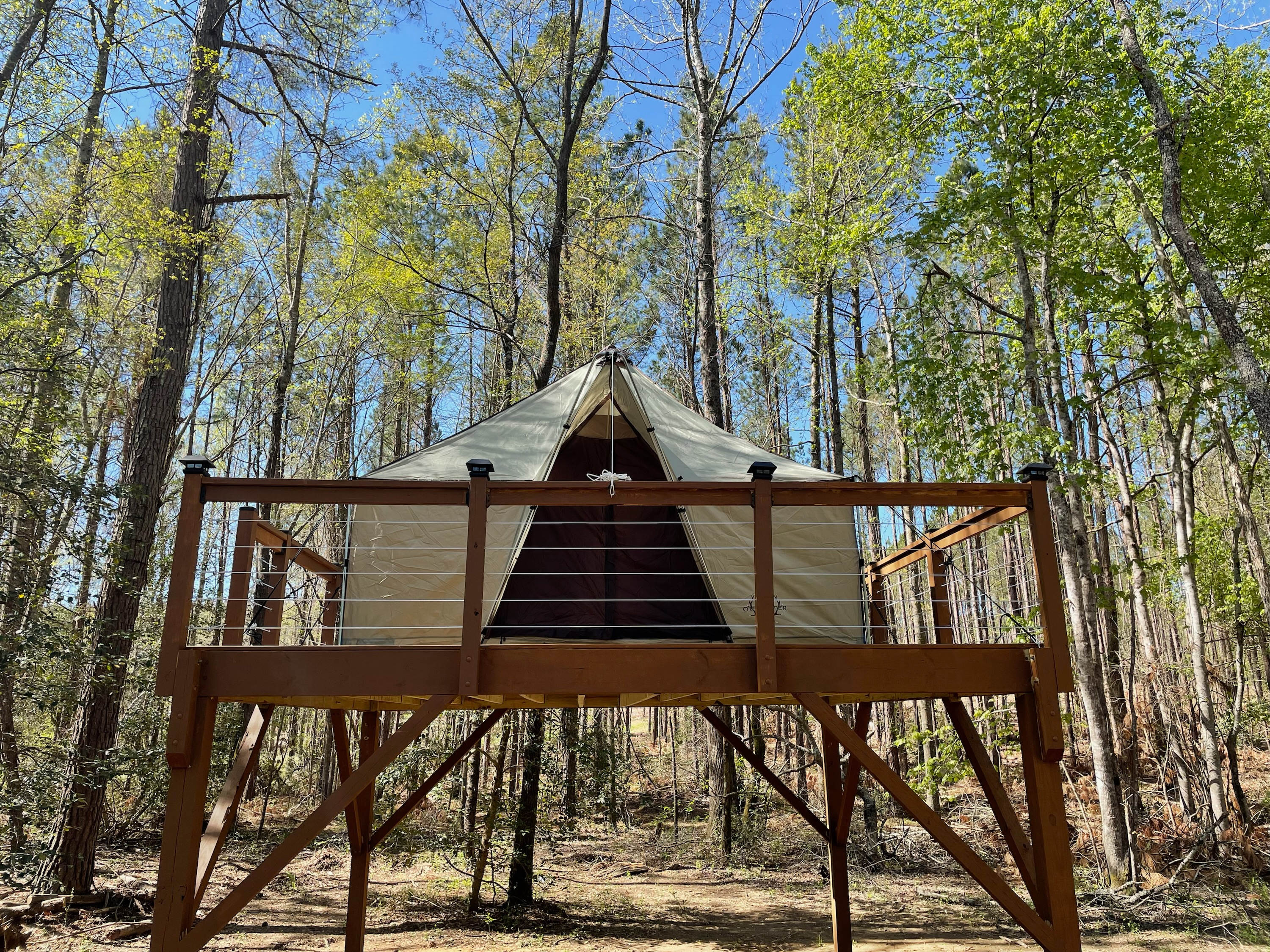 The “treehouse”