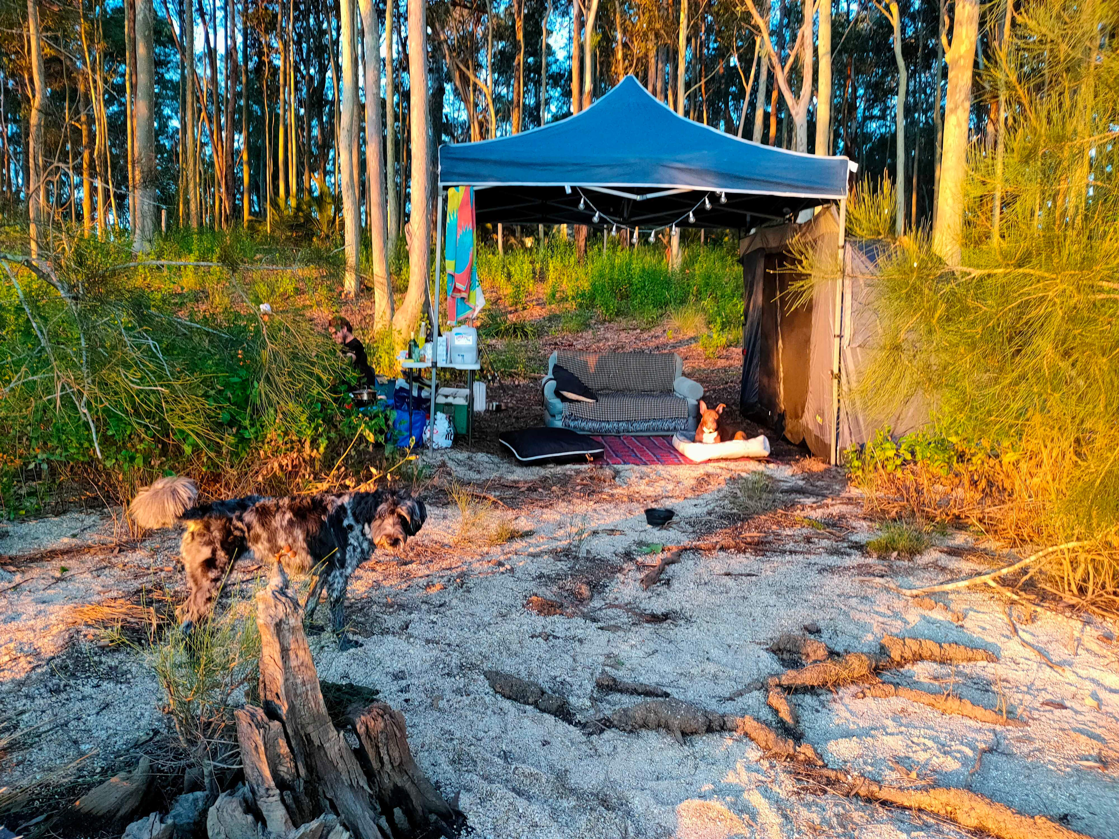 Set up with the sunset