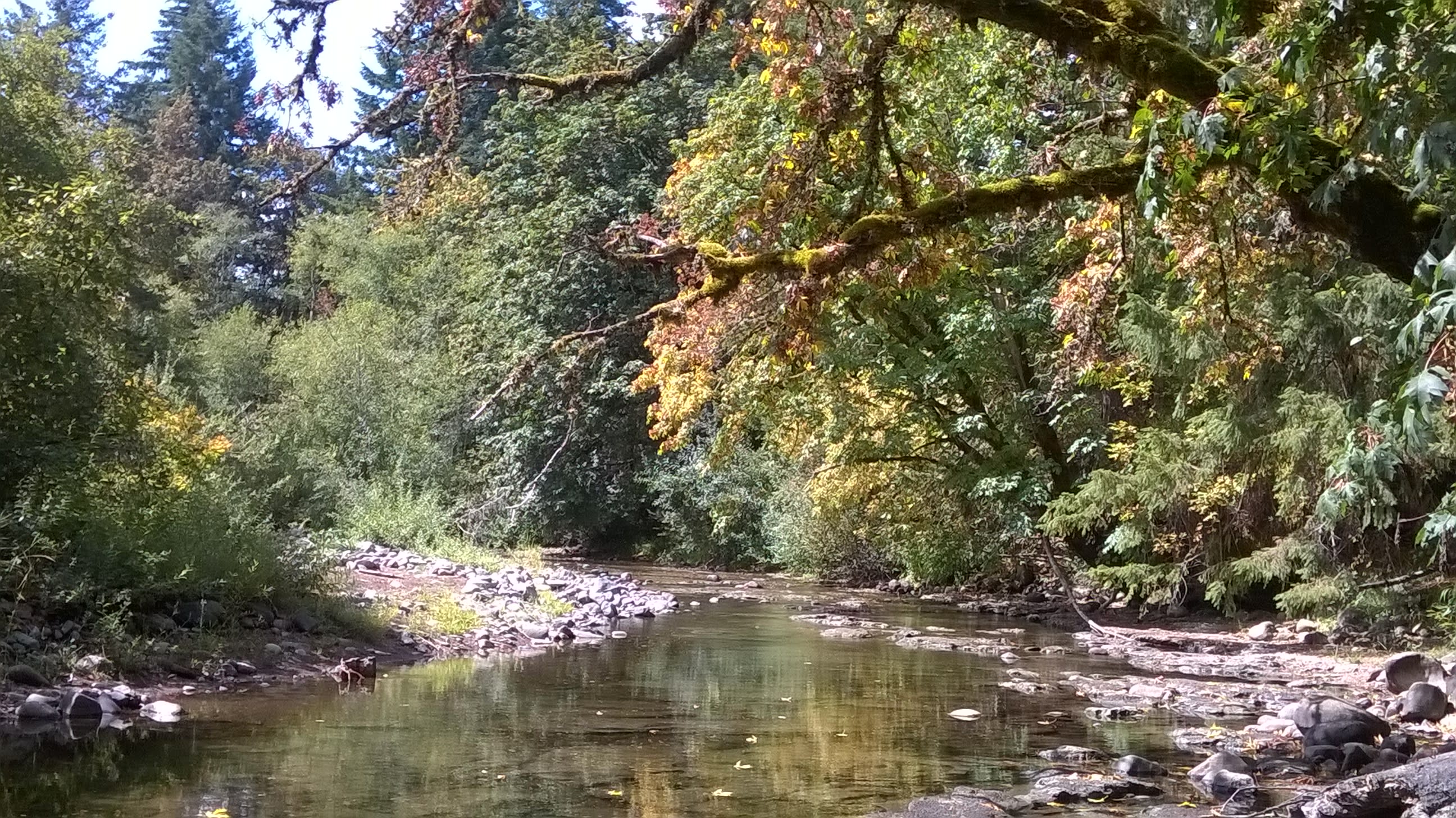 Rock Crick Acres