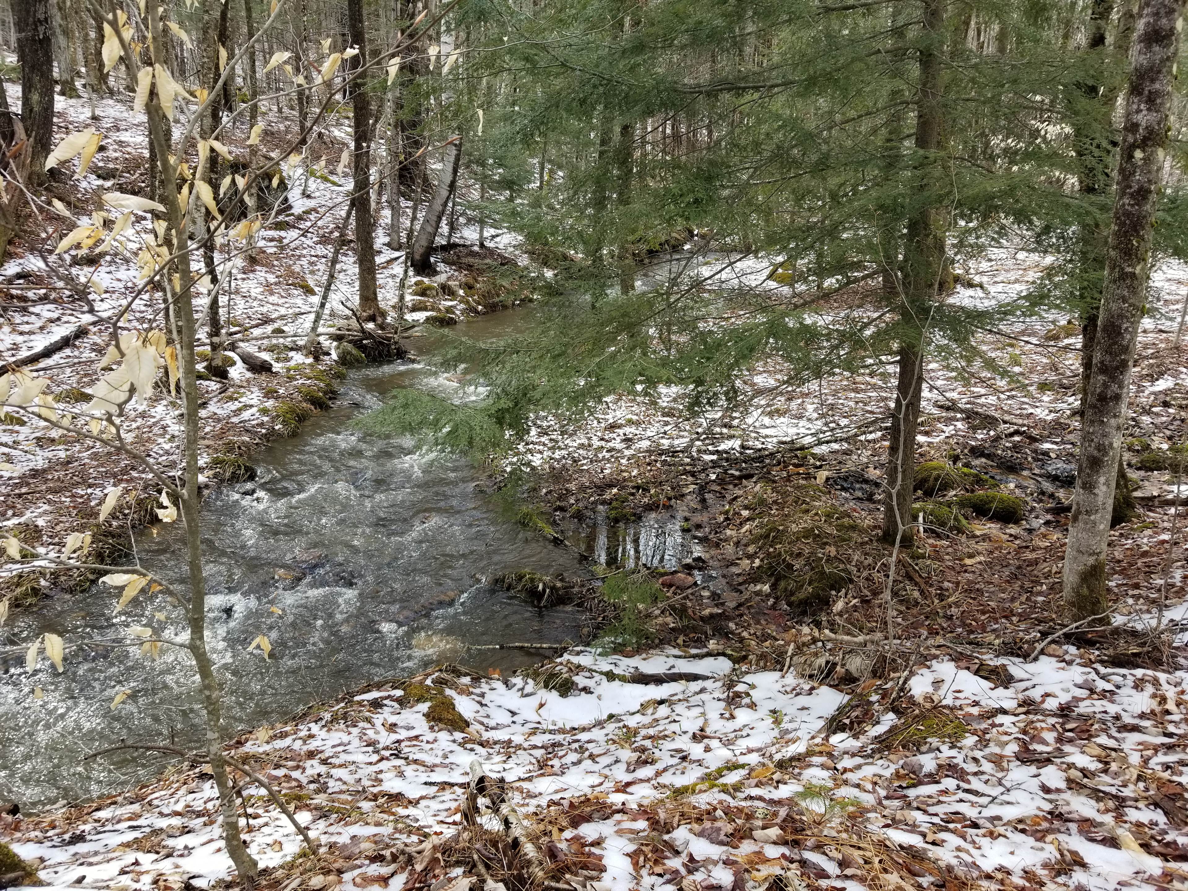 Brookside