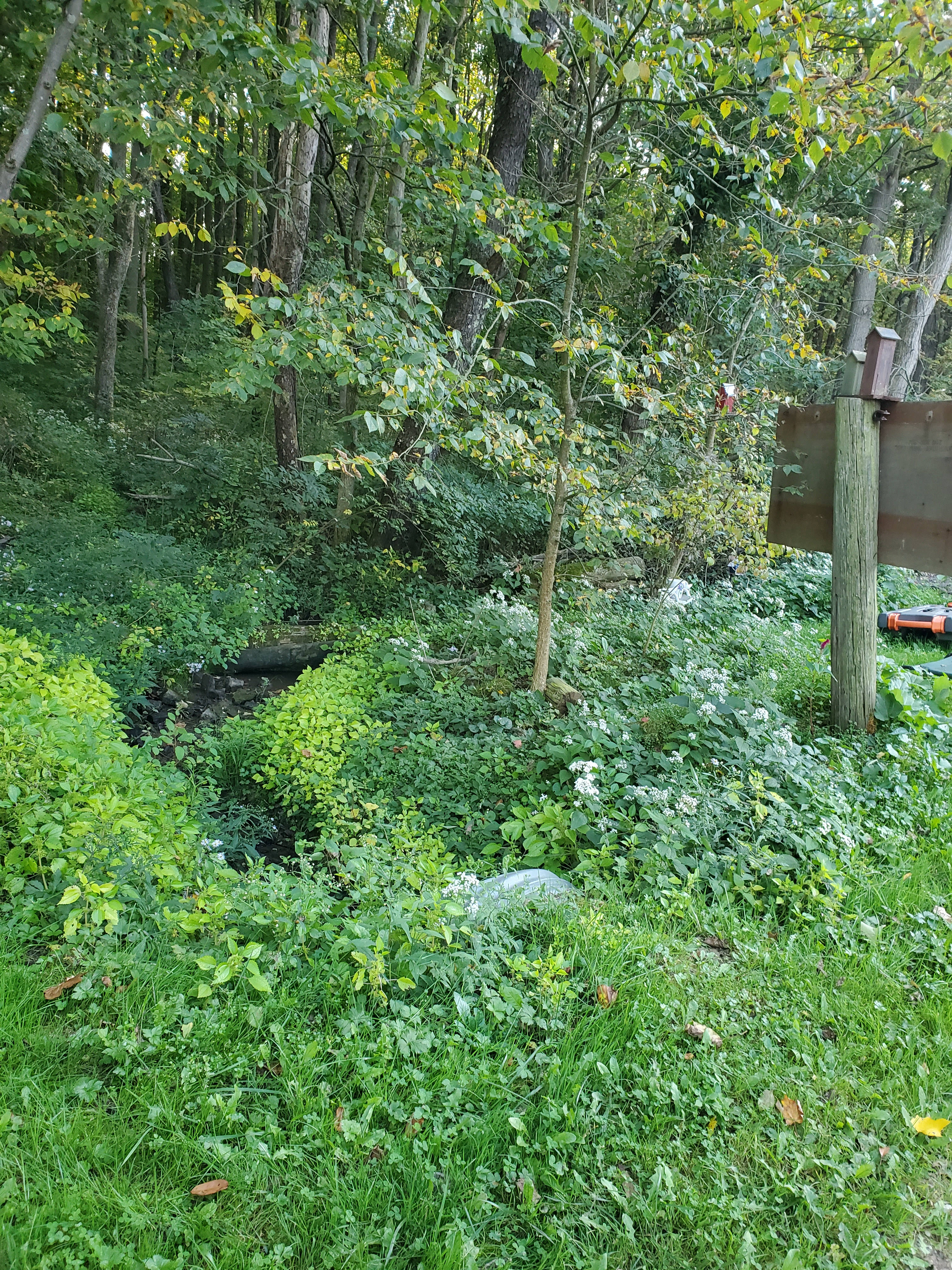 7 natural springs on the property 