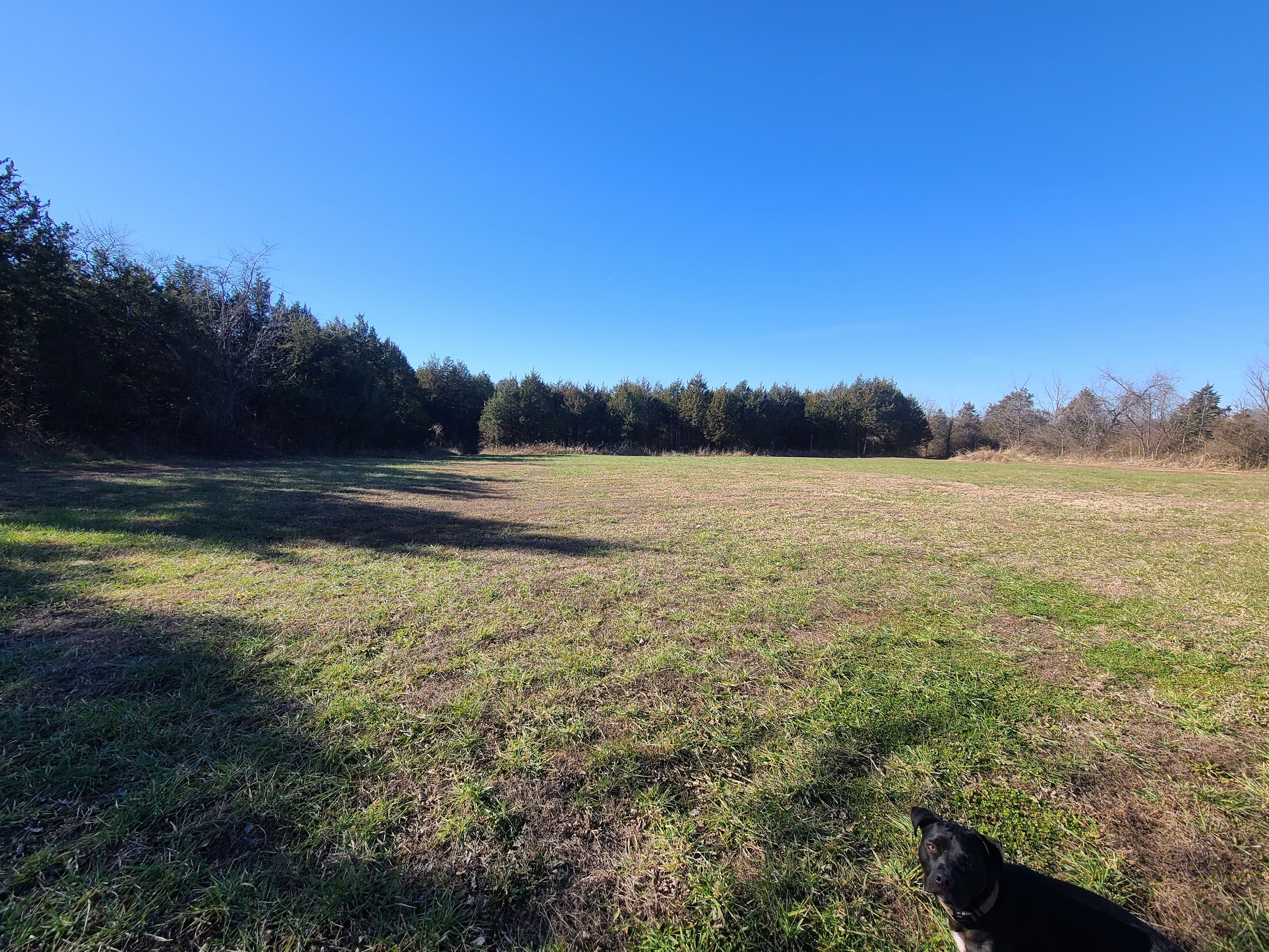 Kevin T.’s Land