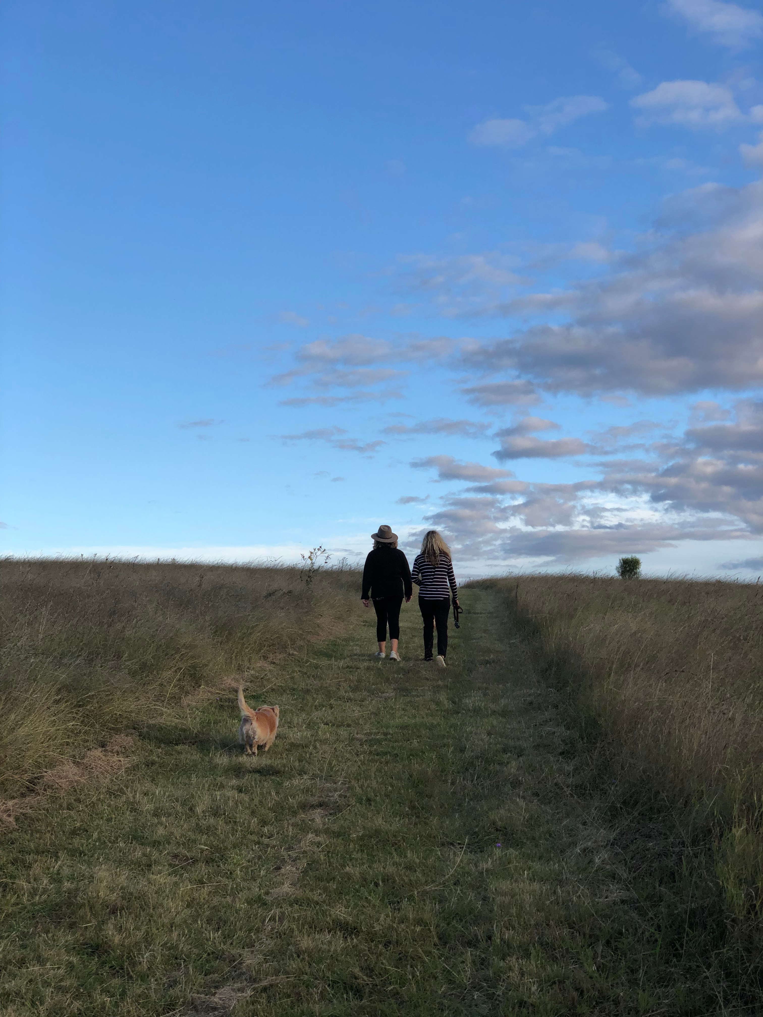 Late afternoon strolled around the property on mowed tracks