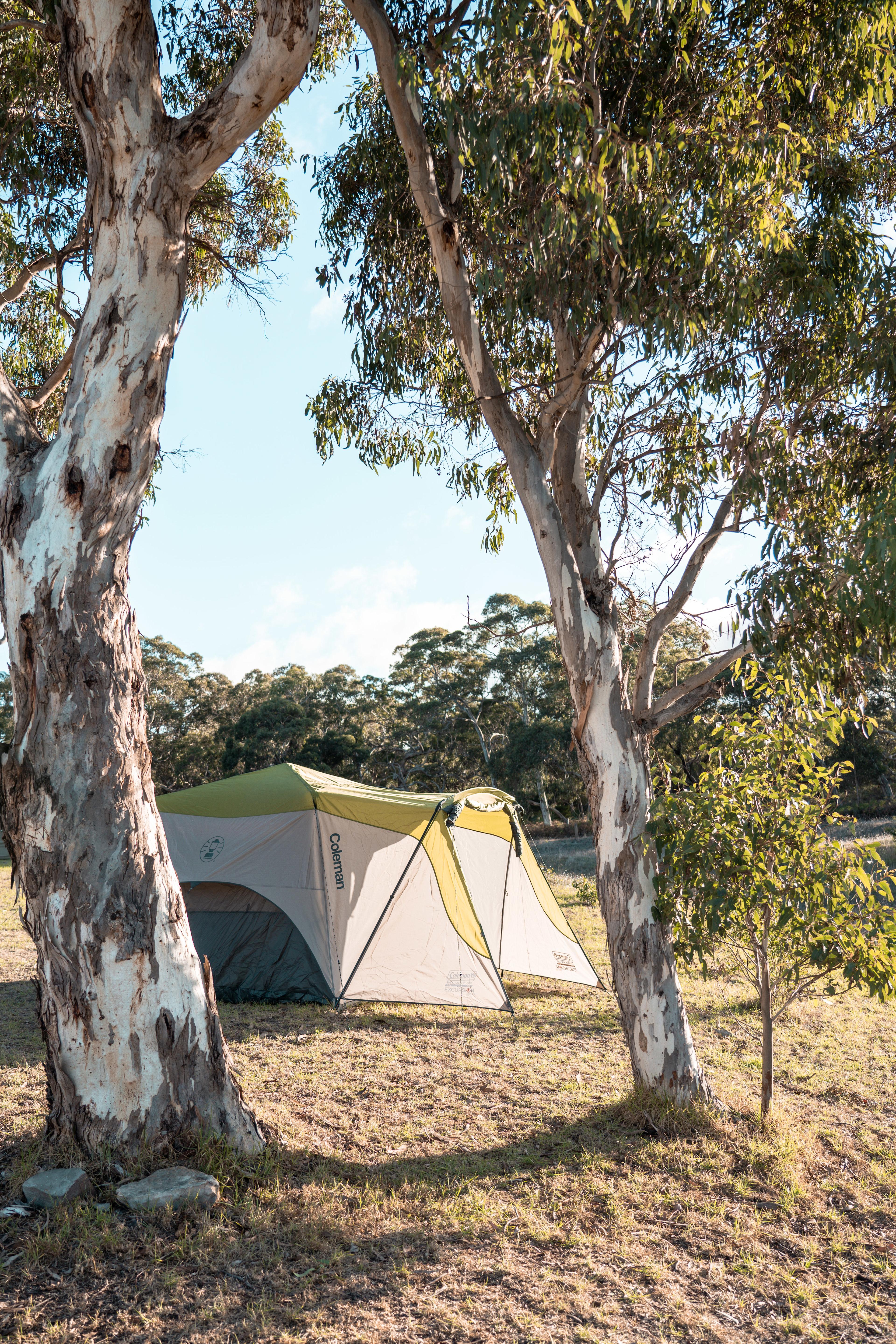 Alma's Hem Amphitheatre Retreat