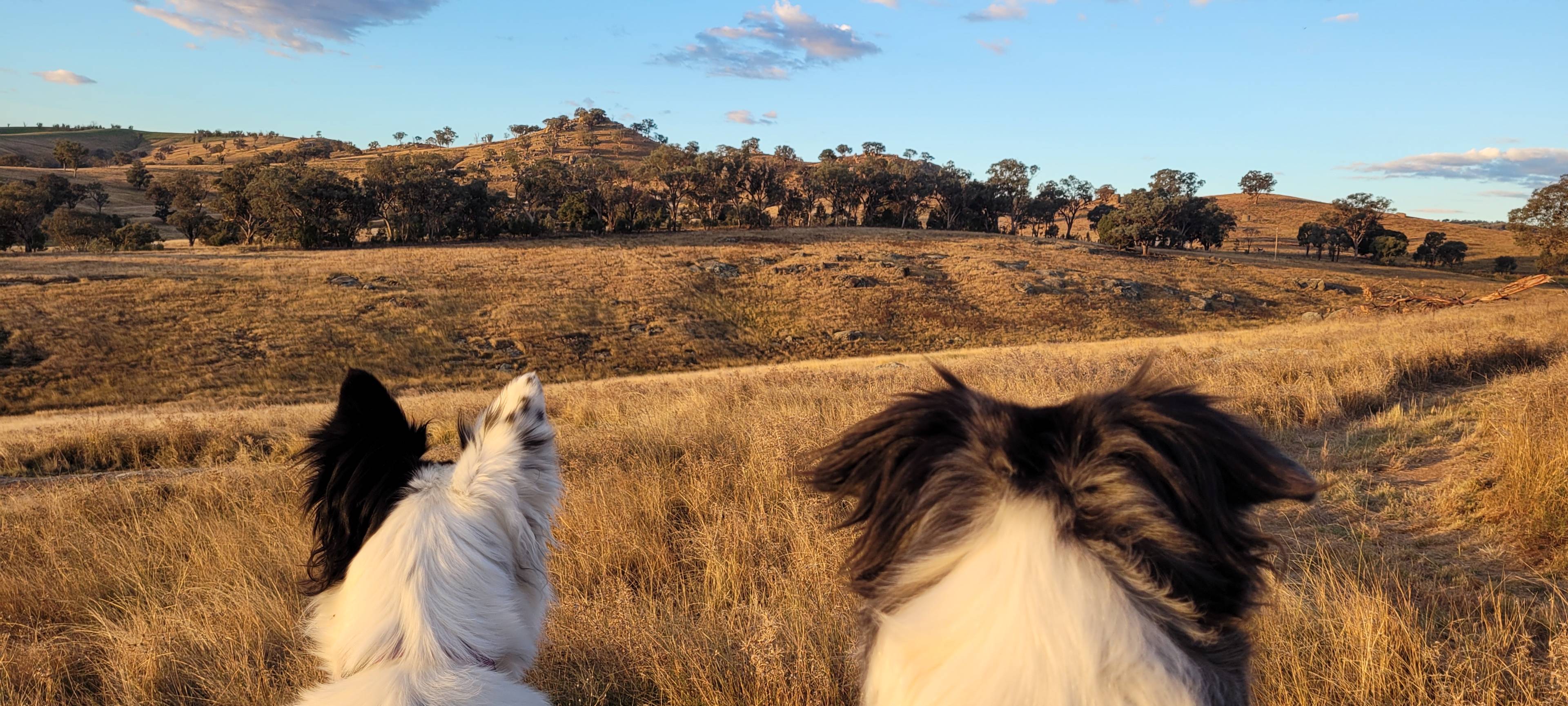 REVELSTONE MOUNTAIN CAMPS