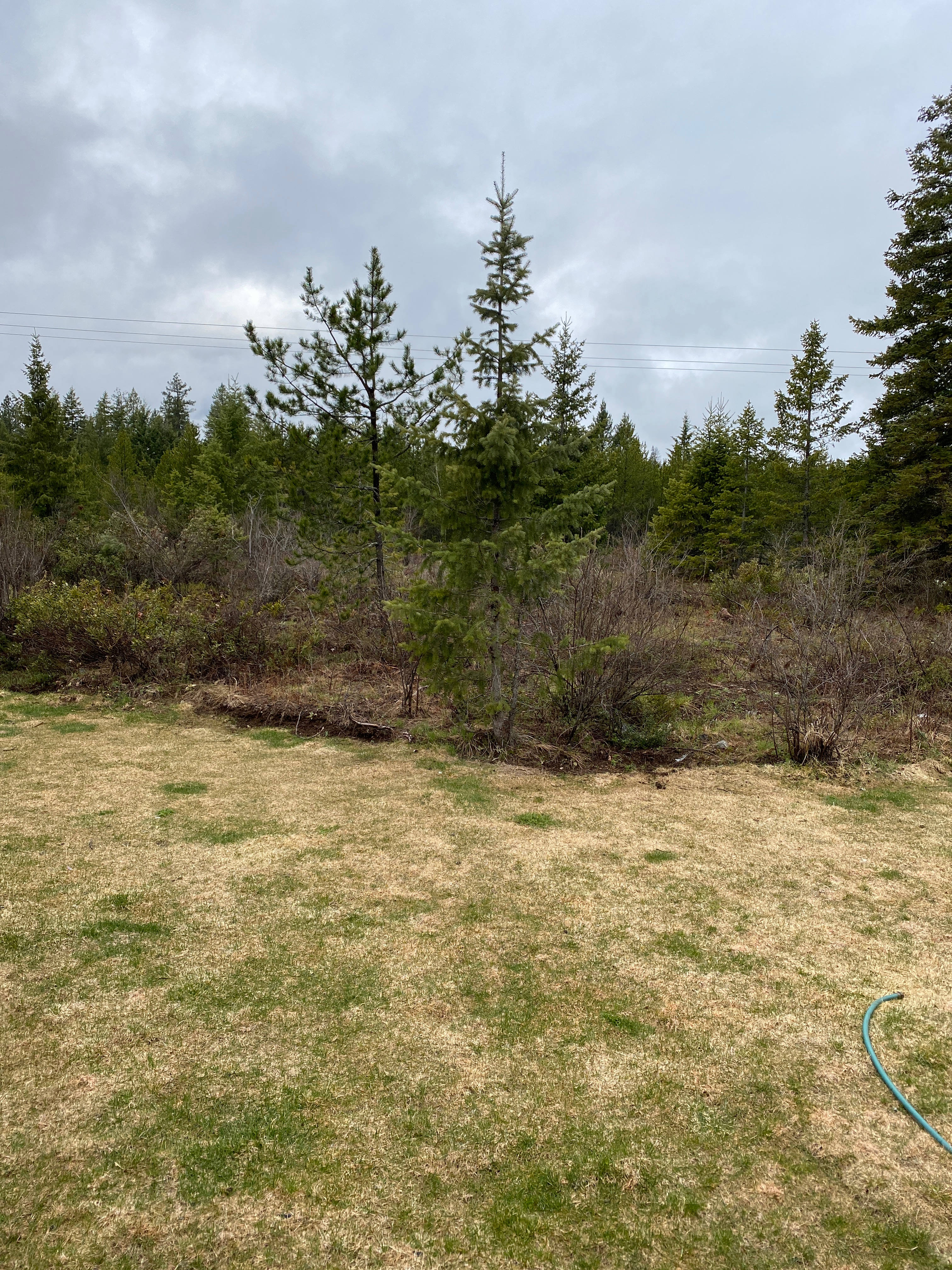 Rebecca R.’s Land