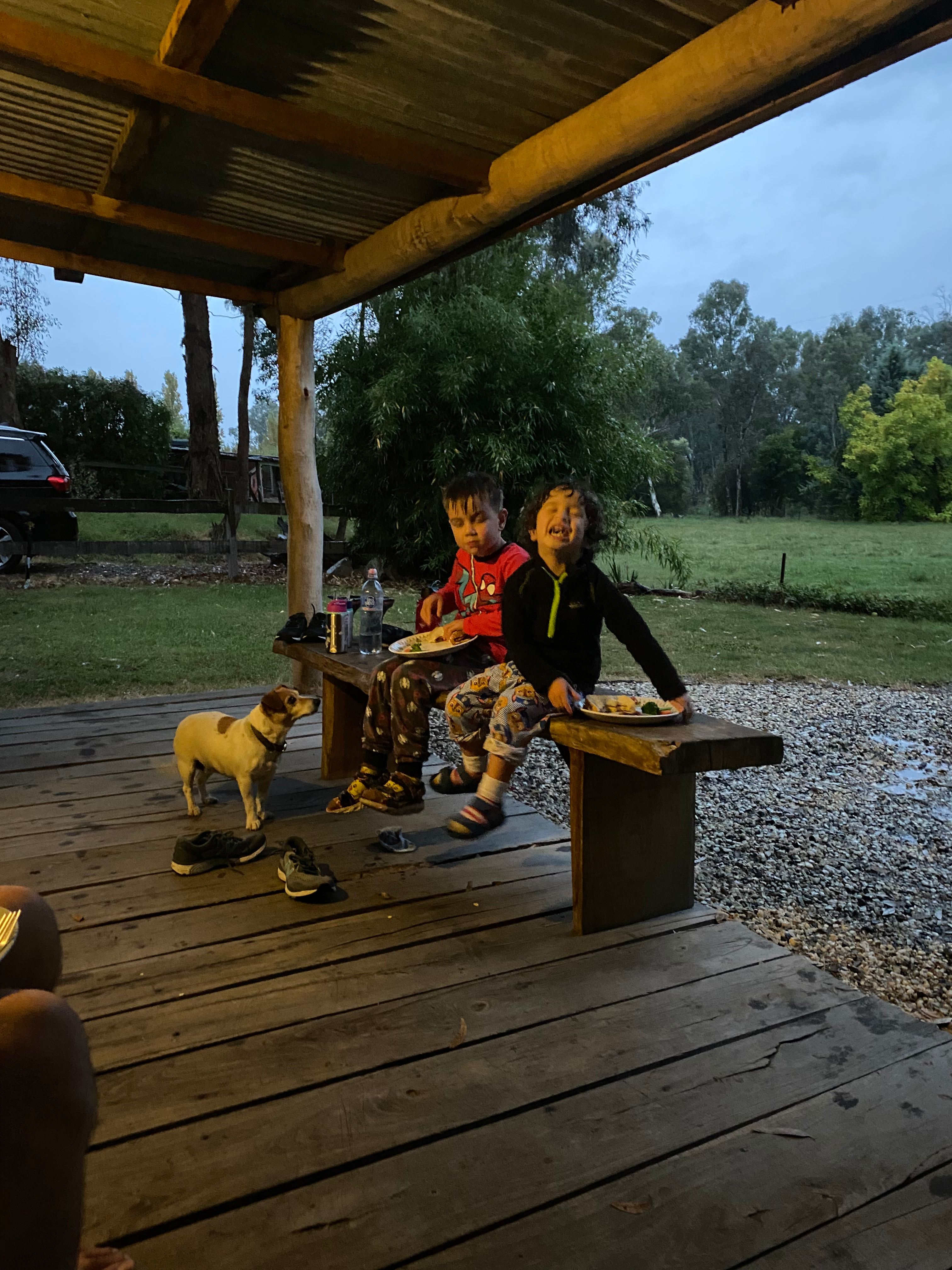 Our new friend Lucy - we miss her!