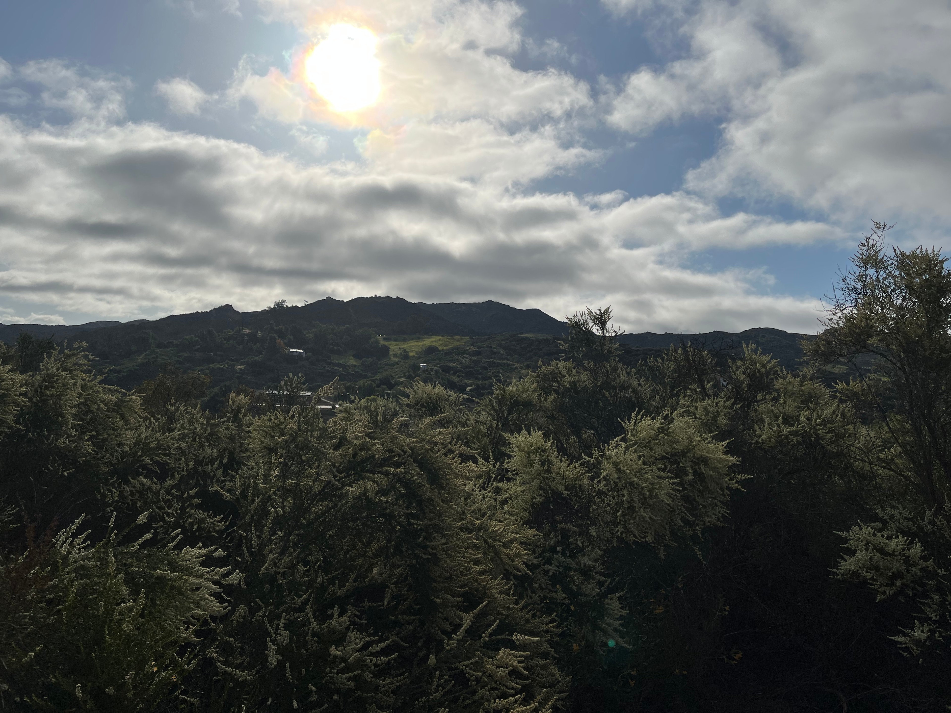 Tentsite Over Topanga